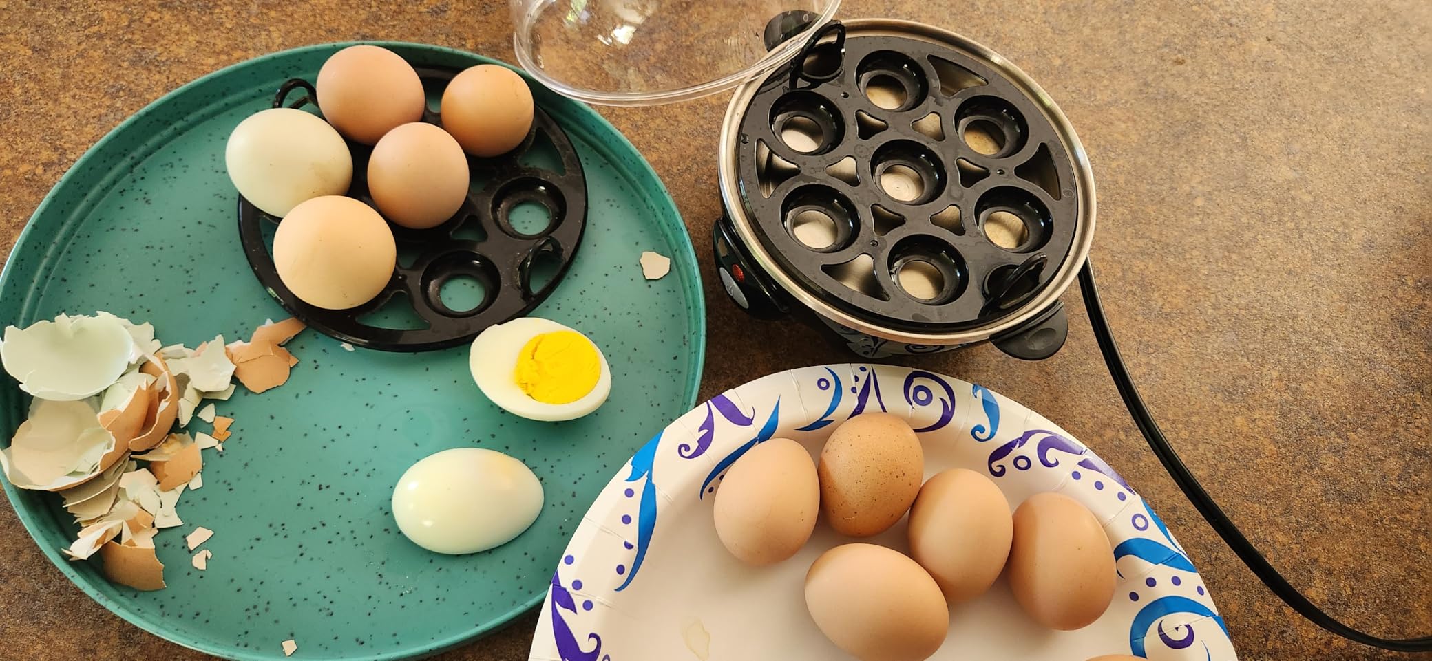 Hamilton Beach 3-in-1 Electric Egg Cooker for Hard Boiled Eggs, Poacher, Omelet Maker & Vegetable Steamer, Holds 14, Black (25508) customer photo 2