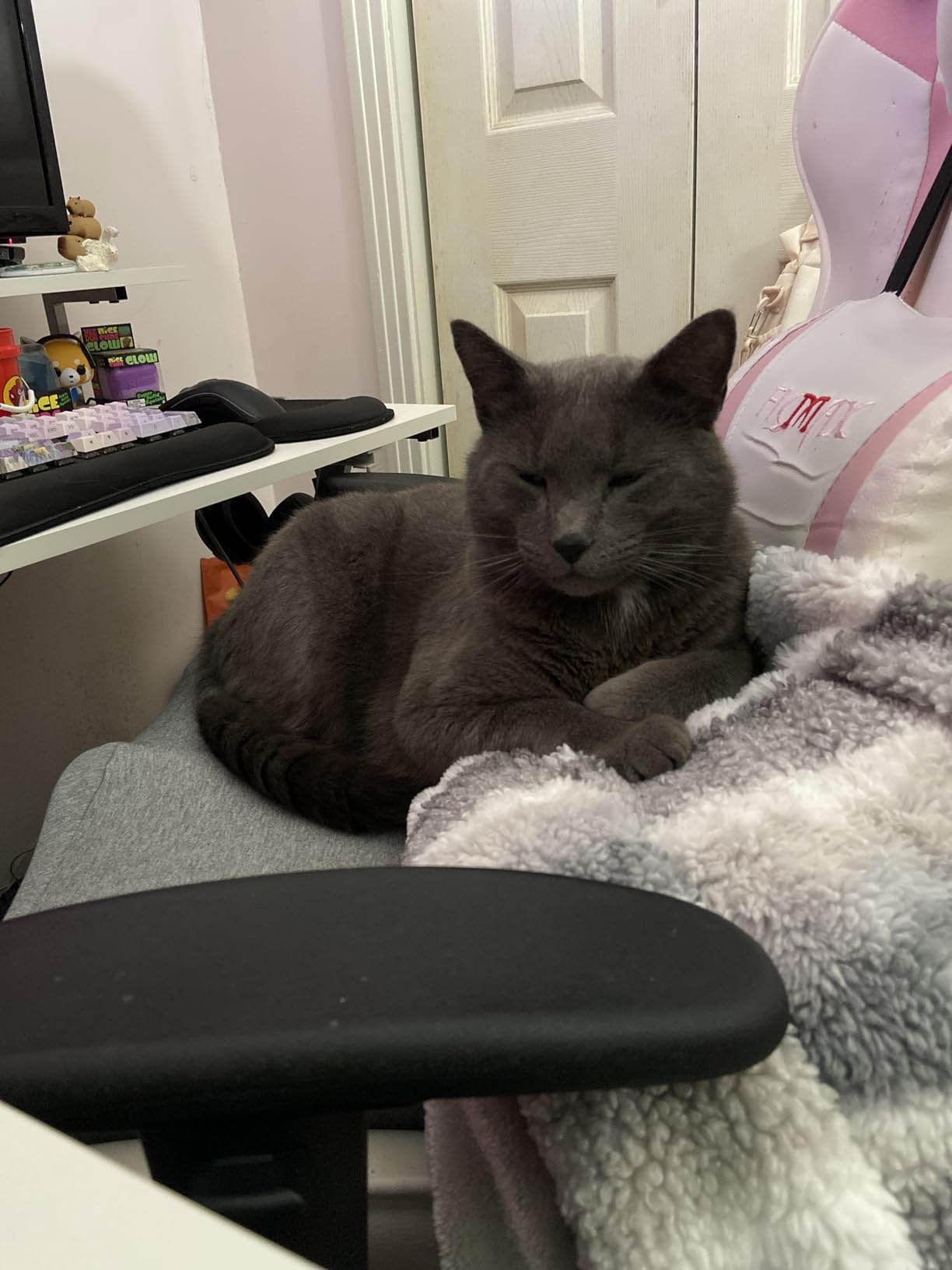 Cushion Lab Patented Pressure Relief Seat Cushion for Long Sitting Hours on Office & Home Chair - Extra-Dense Memory Foam for Soft Support. Car Pad for Hip, Tailbone, Coccyx, Sciatica - Black customer photo 1