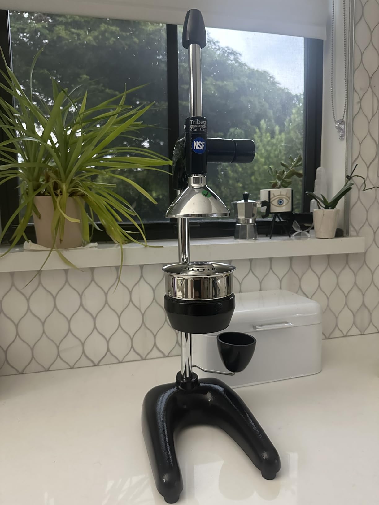 Tribest Pro MJP-100 Professional Manual Cold Press Juicer Machine for Orange, Lemon, and other Citrus Fruits, Gray customer photo 1
