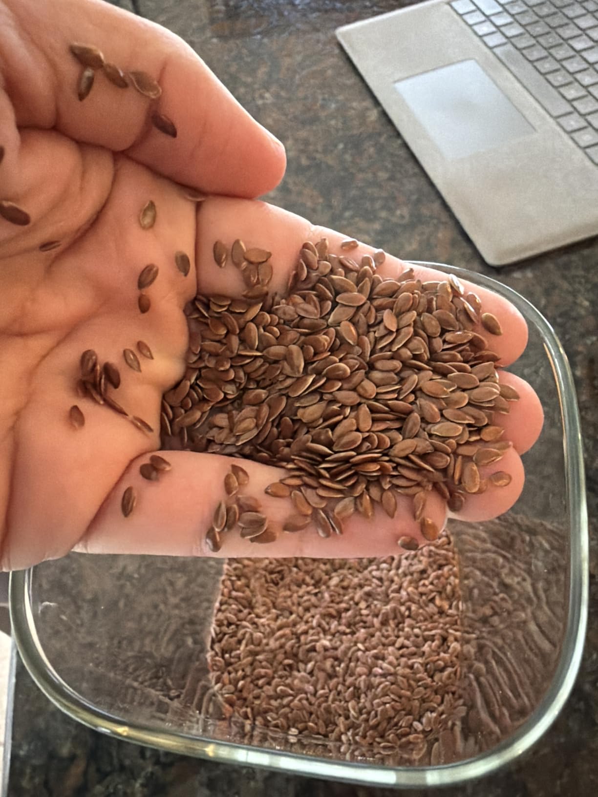 Organic Flax Seeds Whole 8 Ounce or 227g (0.5 Lb) | Non GMO | Kosher | USDA Certified Organic | By Carmel Organics | Unroasted Flax Seed | Plant Based | Linum usitatissimum customer photo 2