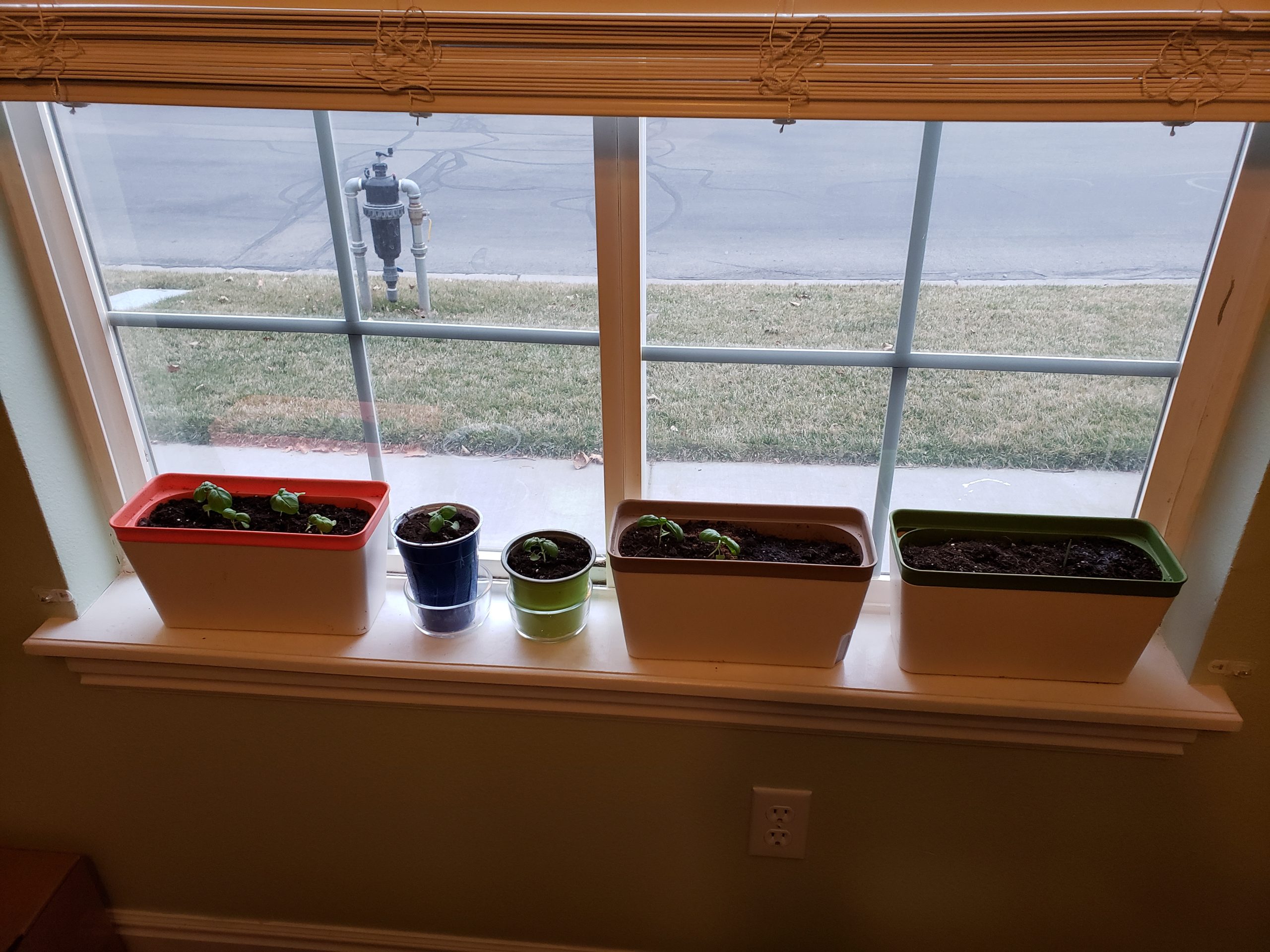 OurWarm 3 Pack Self Watering Herb Planter Set for Windowsill, 10.5In Indoor Herb Garden Planters with Water Level Indicator, Dual Layer Easy Care Pot for Basil, Flowers, Vegetables & Succulent customer photo 2