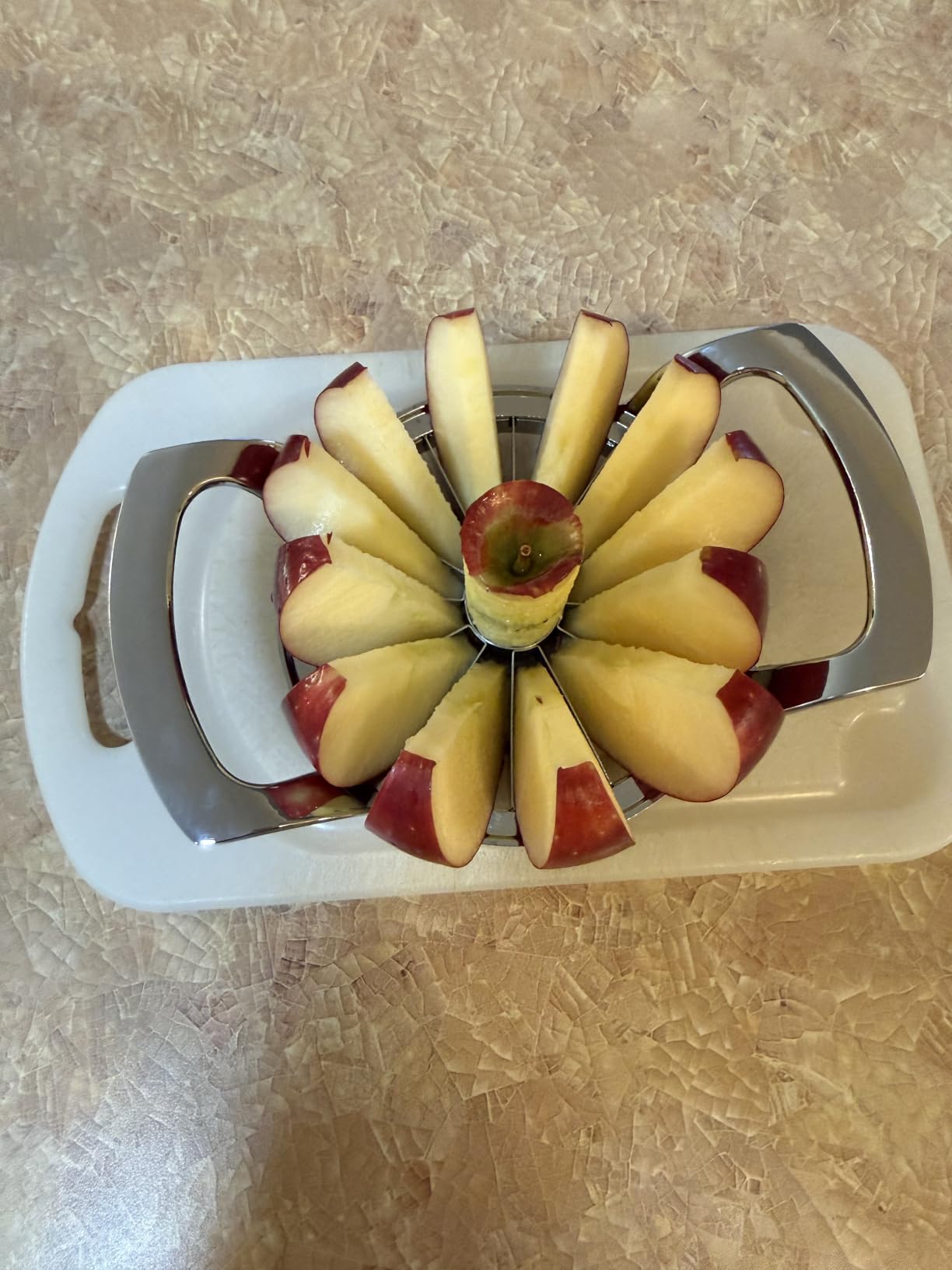 LIIGEMI Apple Slicer, 12-Blade Extra Large Apple Corer, Heavy Duty Stainless Steel Apple Cutter and Divider customer photo 1