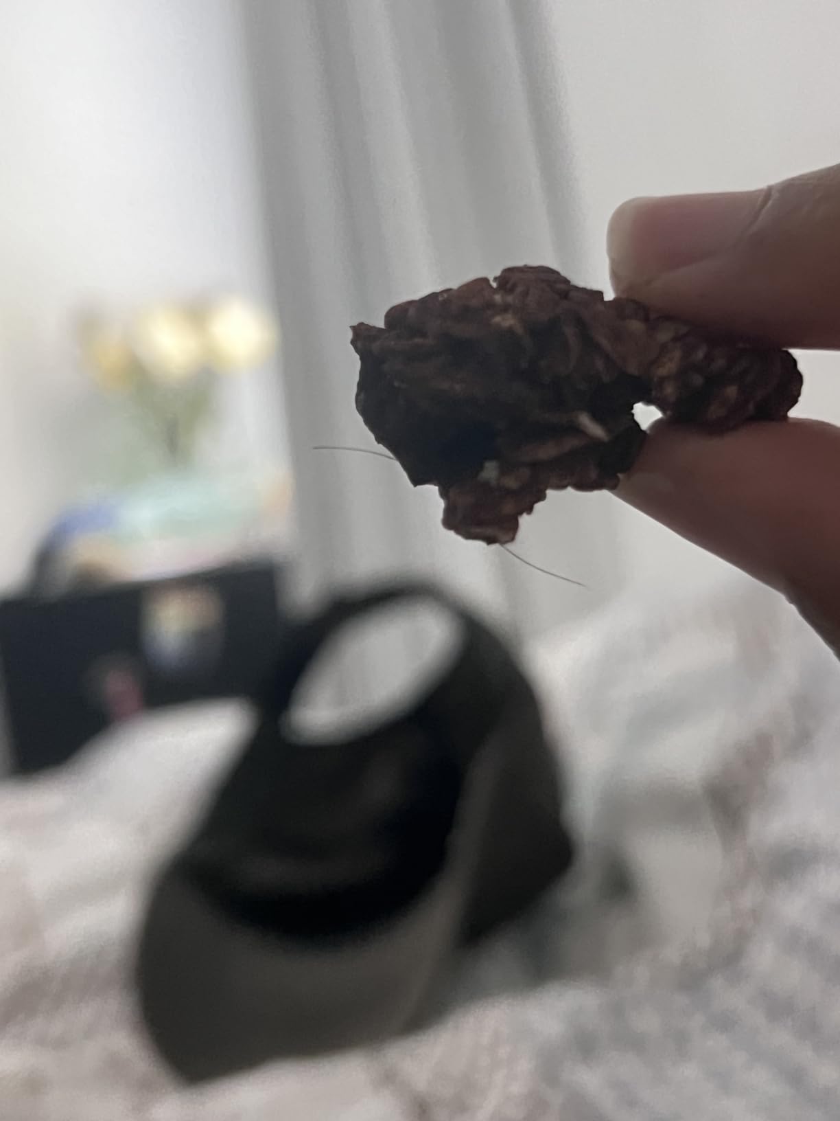 Alter Eco Dark Chocolate Granola, Healthy, Organic Breakfast & Snack, Naturally Sweetened with Fruit, Vegan, No Artificial Sugars or Additives, Regeneratively-Farmed Oats (Dark Chocolate - 1 Pack) customer photo 2