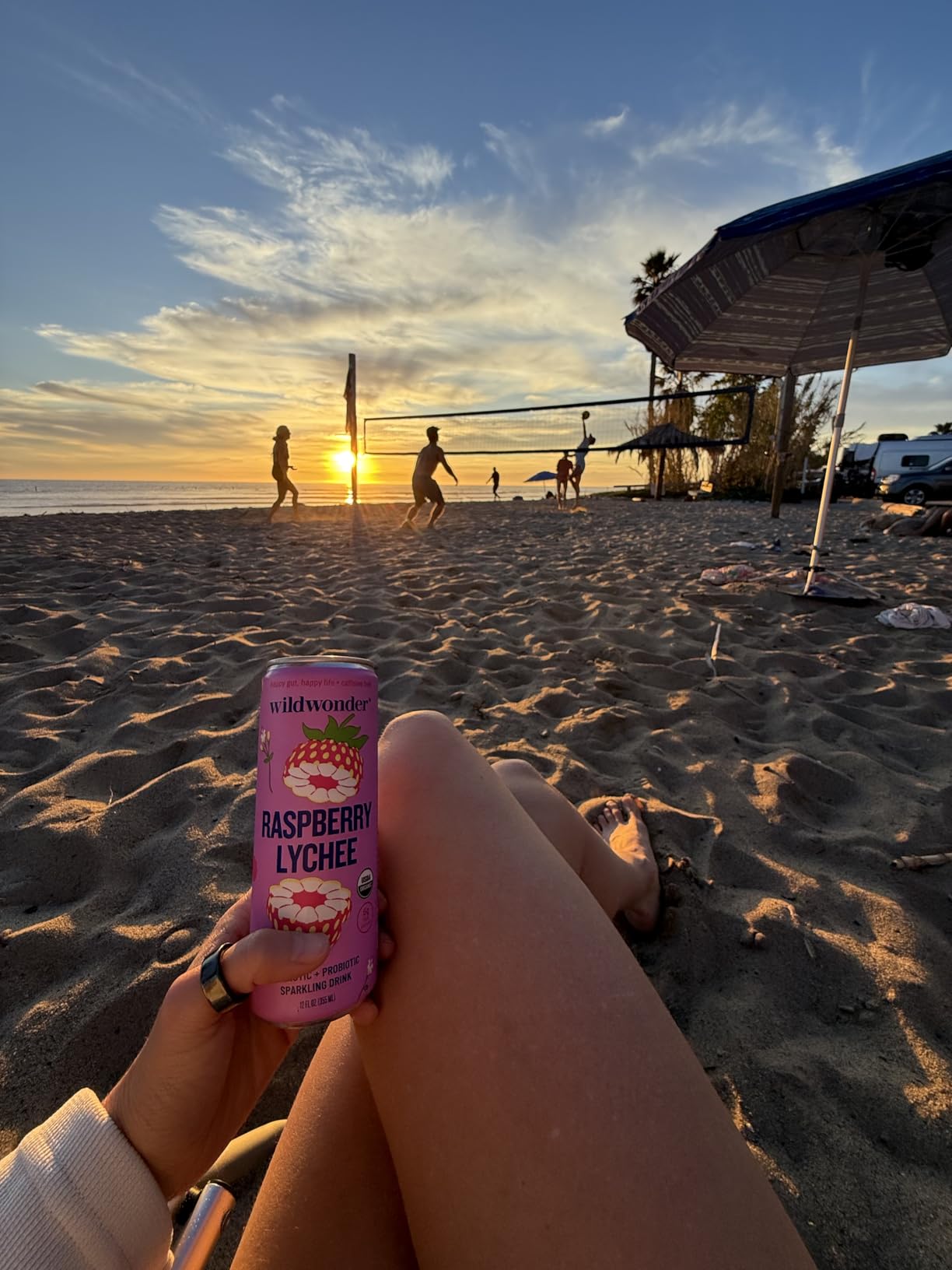 wildwonder Sparkling Probiotic Drink 12pk, For Gut Health & Immune Support, Classic Variety Pack, 5g Prebiotic Fiber, Live Probiotics, Organic, Vegan, Low Sugar, 12 Pack, 12oz Can, Seen on Shark Tank customer photo 2