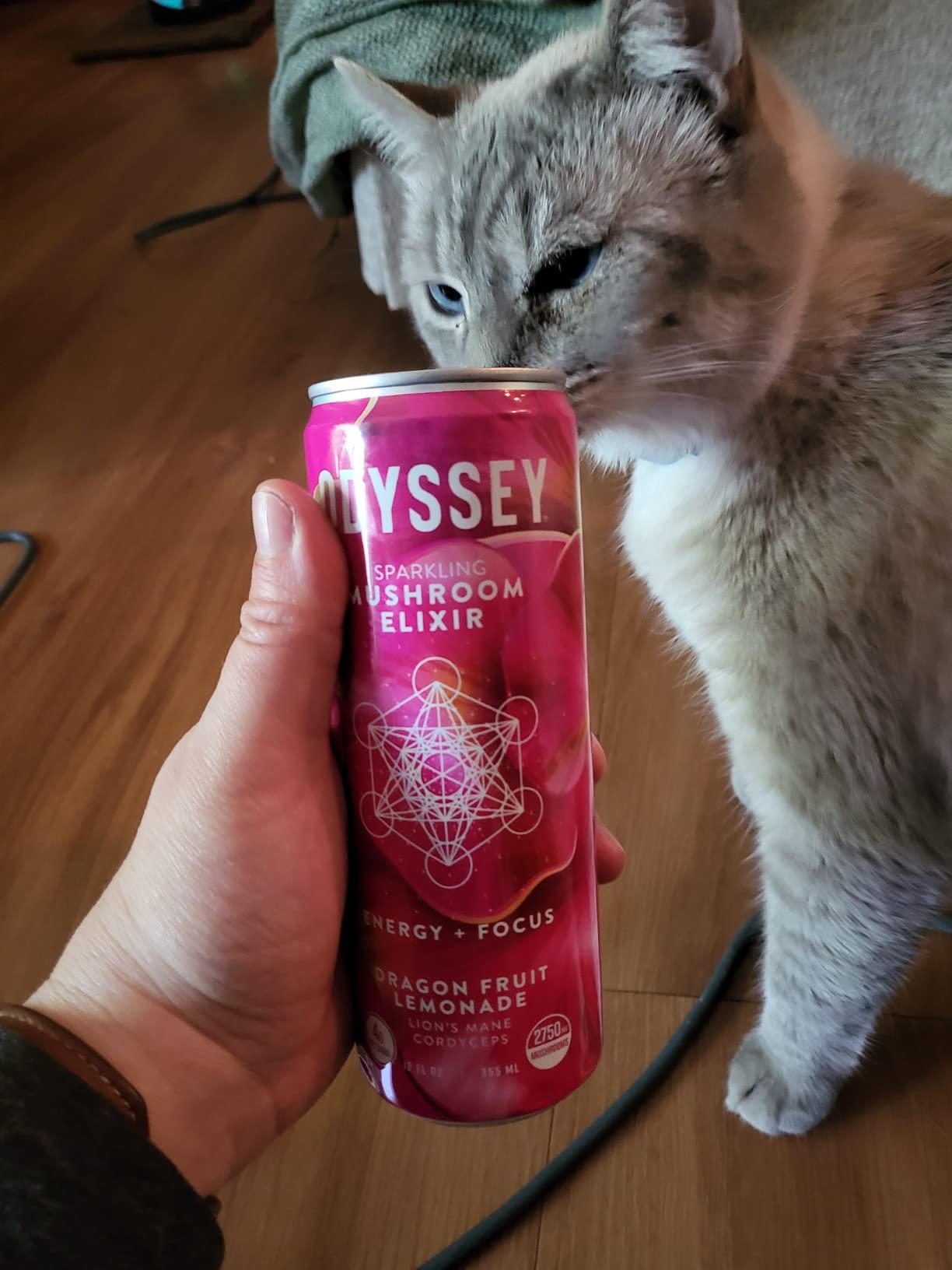 Odyssey Functional Energy Drink for Focus, Cognition & Mood Support 12 Pack - Adaptogenic Drink with 85mg Green Tea Caffeine, Lion's Mane, Cordyceps, L-Theanine & Ginseng, Variety Pack customer photo 2