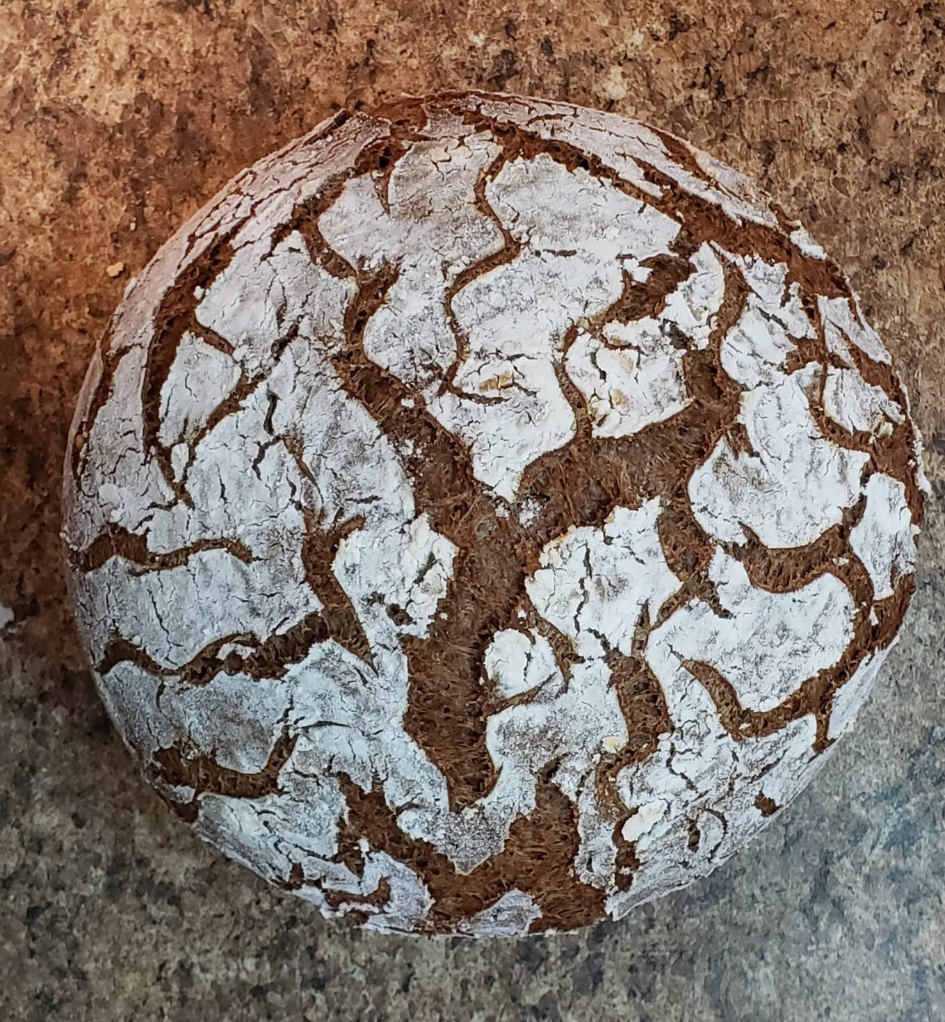 Brundo Ethiopian Spice Company | Gluten Free Teff Flour | Hand Picked & Processed Authentic Powdered Ethiopian Teff Grain | Harvested in and Imported from Ethiopia | All-Natural | No Preservatives | ጤፍ (16oz) | customer photo 2