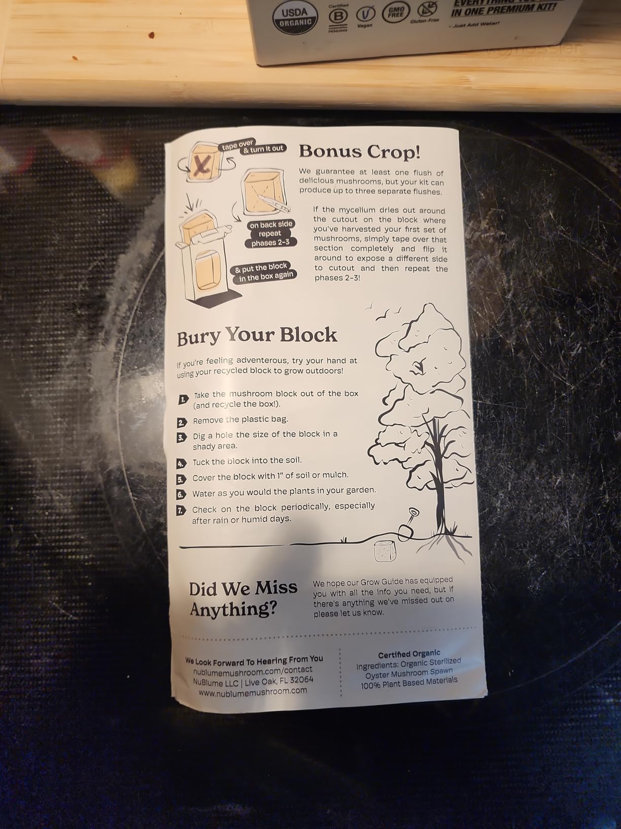 BloomBox Blue Oyster Mushroom Grow Kit - Spray & Grow - Pre-Inoculated Indoor Mushroom Farm - Beginner Friendly - Harvest Fresh Gourmet Mushrooms in Days - Perfect Gift customer photo 1