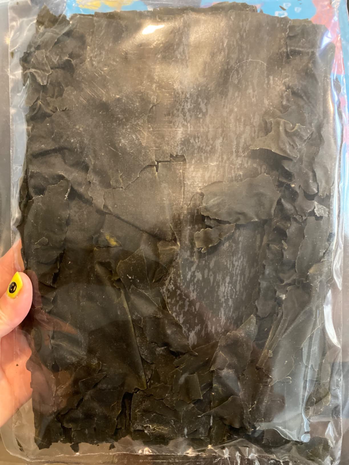 Korean Wild Kombu Dried Kelp, 3.52 oz - Hand-Harvested 100% Natural Seaweed - No Added Salt, No MSG - Dashi Broth, Miso Soup, Ramen Stock, Simmered Dishes - Resealable Pouch from Korea customer photo 1