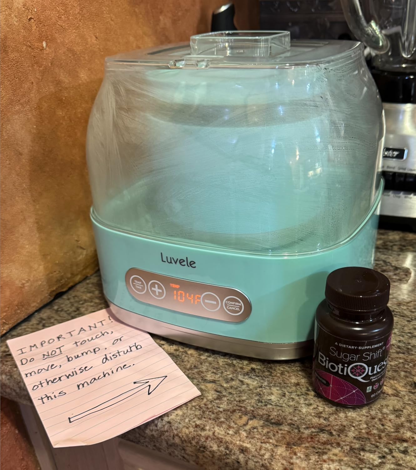 BiotiQuest Sugar Shift Probiotic | Helps Decrease Sugar & Carb Cravings and Supports Digestive Balance | 22 Billion CFU | Non-GMO, Gluten-Free, & Vegan | 60 Servings customer photo 1
