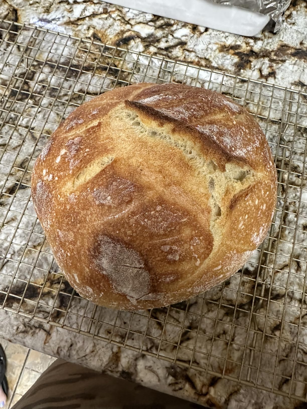 Saint Germain Bakery Premium Round Bread Banneton Basket with Liner - Perfect Brotform Proofing Basket for Making Beautiful Bread (9 inch) customer photo 1