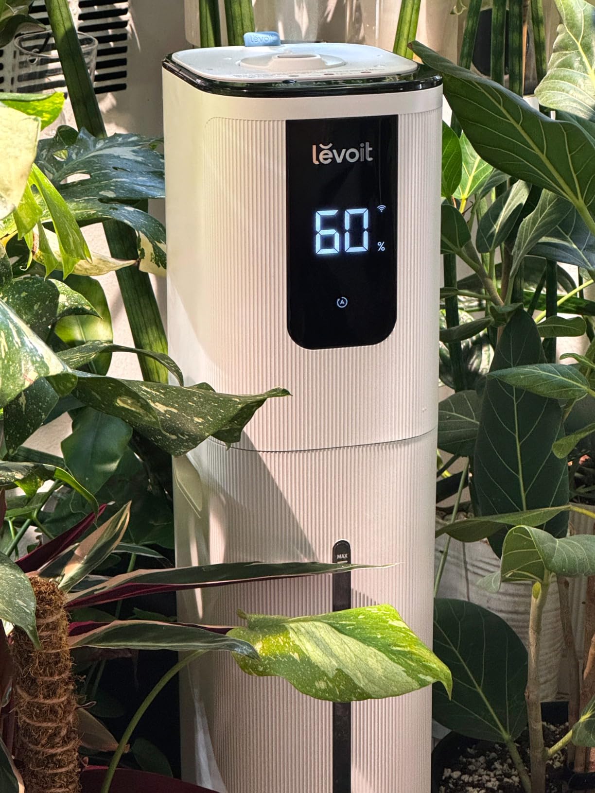 LEVOIT OasisMist 1000S (10L) Smart Humidifier for Home Large Room Bedroom, Last 100 Hours Suitable for Indoor Plant, Cover up to 600ft Squared, Easy Top Fill, Remote & Voice Control, Auto Mode, Quiet, White customer photo 1