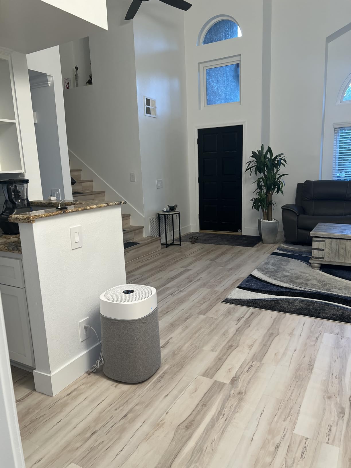 BLUEAIR Air Purifiers for Large Rooms, Cleans 3,048 Sqft In One Hour, HEPASilent Smart Air Cleaner For Home, Pets, Allergies, Virus, Dust, Mold, Smoke - Blue Pure 211i Max customer photo 1