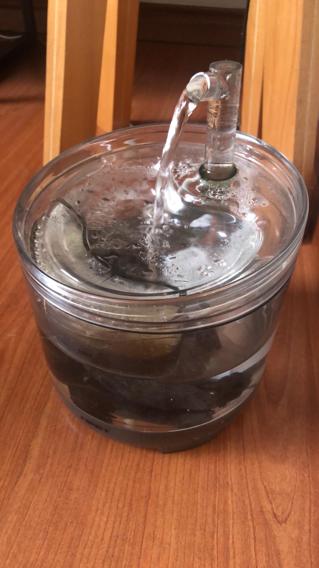 Raw Shungite Stones and Crystals, Karelia Shungite Minerals, 20-40mm 1/2 Ib customer photo 2
