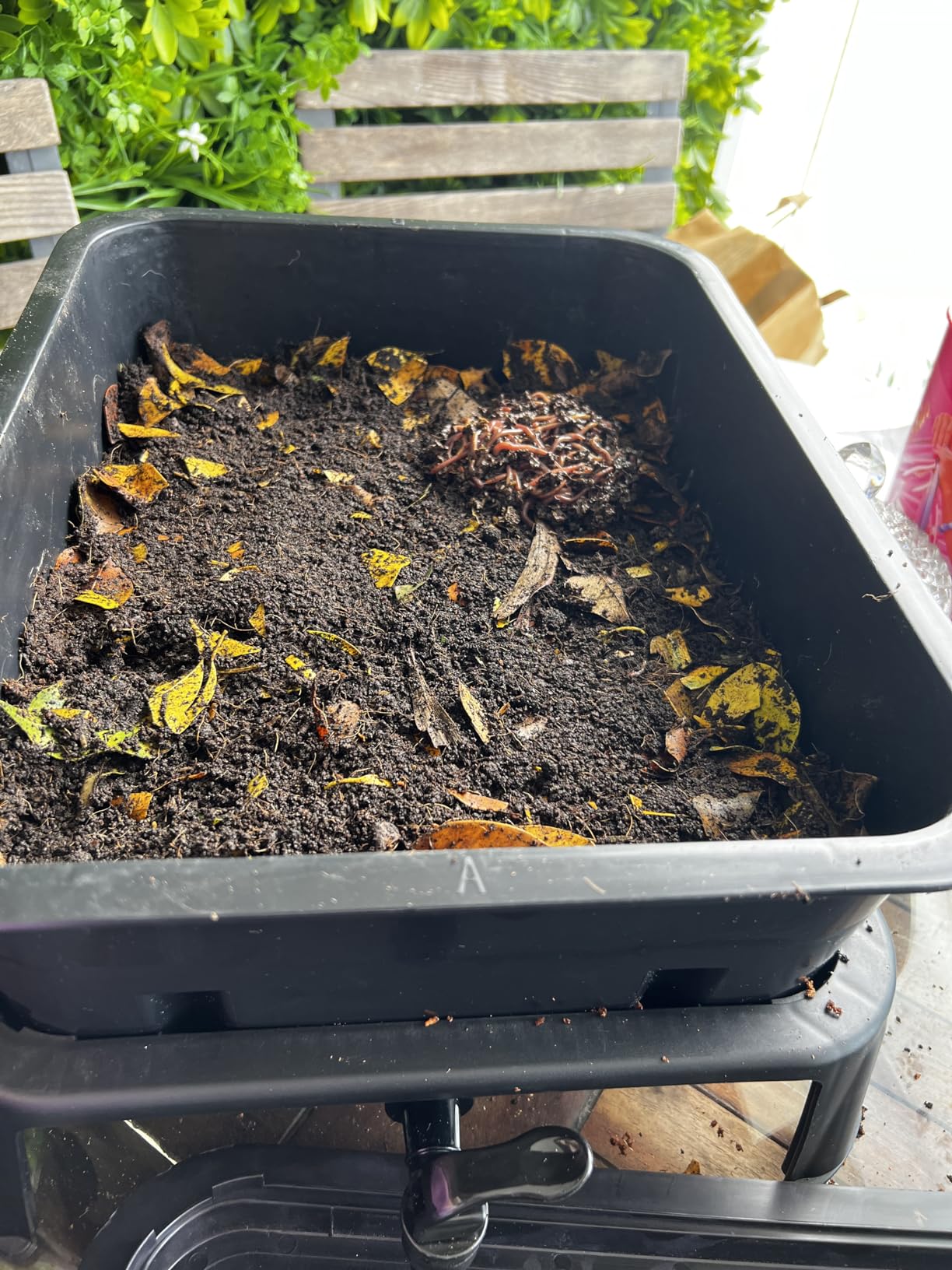 Worm Nerd WN54 4-Tray Worm Composting Bin Kit with Coco Coir Brick for Recycling Food Waste, Worm Castings, Worm Tea, Vermiculture and Vermicomposting customer photo 1