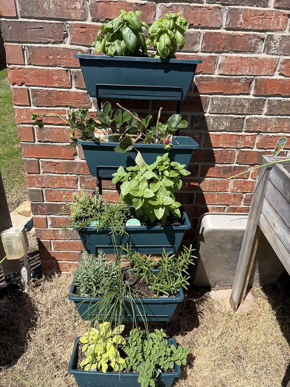 5 Tier Vertical Raised Garden Bed Planter Box, Vertical Raised Bed with Drainage Holes for Indoor Outdoor Herbs Flowers Vegetables Plants, Black customer photo 2