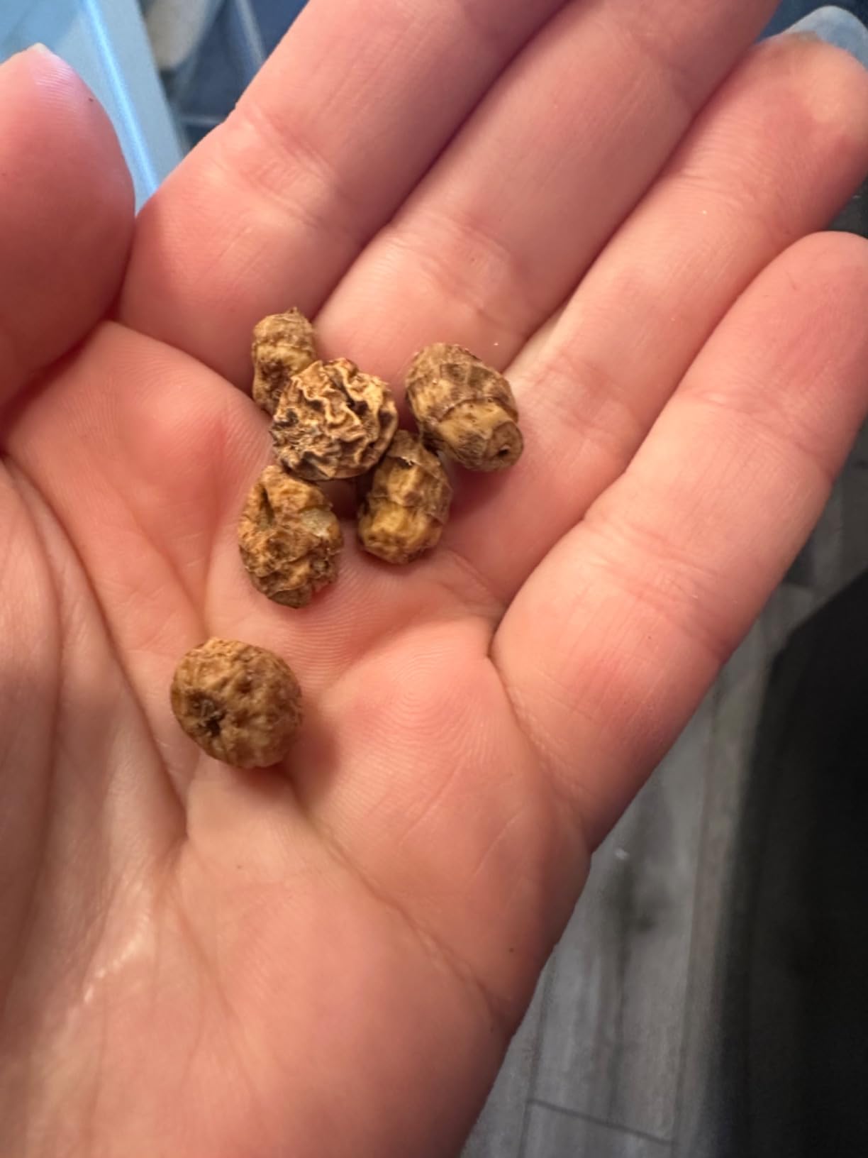 Quay Naturals Organic Tigernuts 16 oz, Raw, for Snacking, Baking, Smoothies, Yogurt & Salad - Chufa Nuts - High Fiber, Gluten Free & Keto Friendly - Non GMO customer photo 1