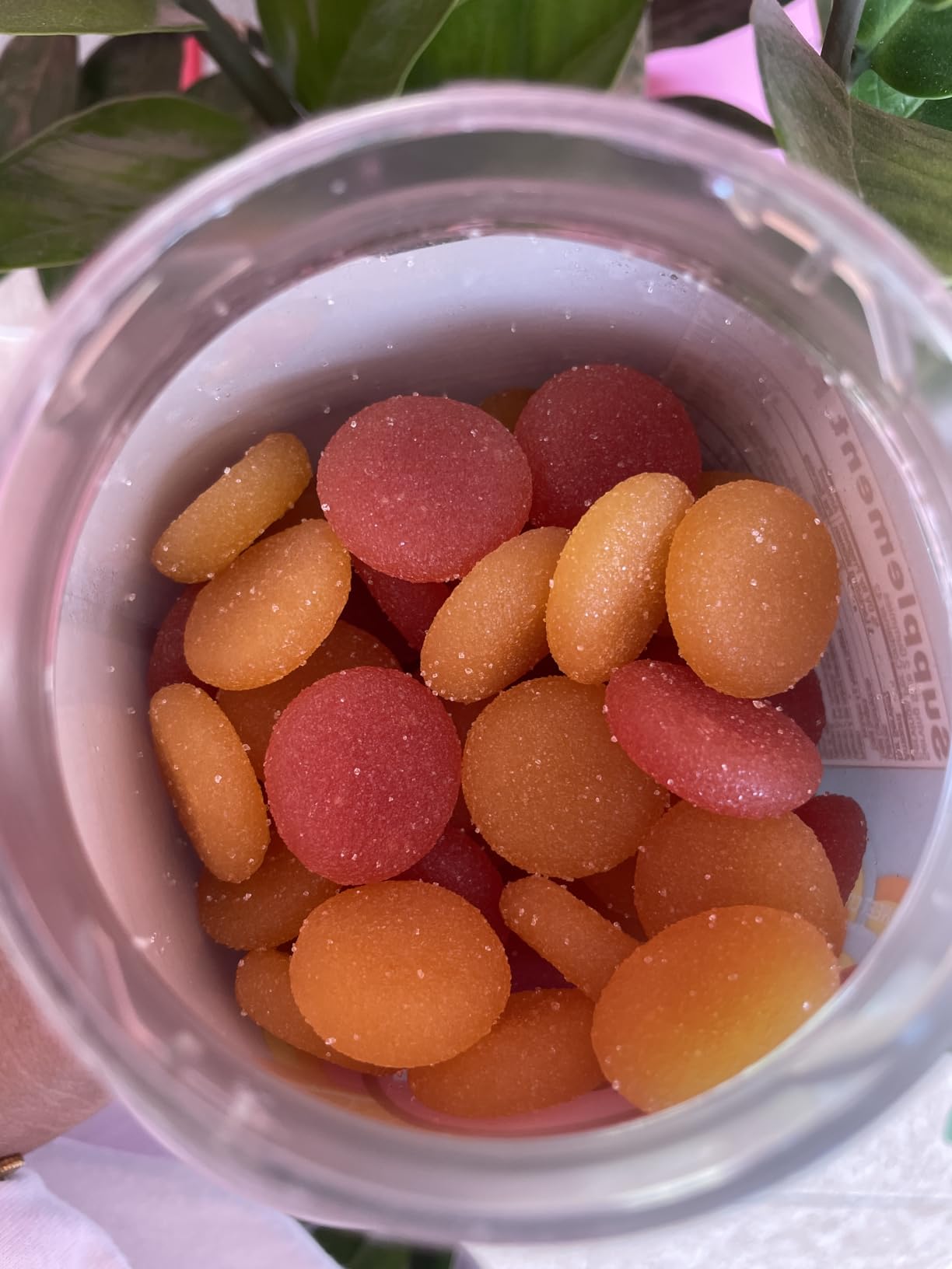 Prenatal Multivitamin Gummy, Daily Multi Blend for Mommy & Baby, Folic Acid, Omega 3 DHA, Vitamins A & D, Sweet Citrus Flavored, 42 Day Supply - 84 Count customer photo 1