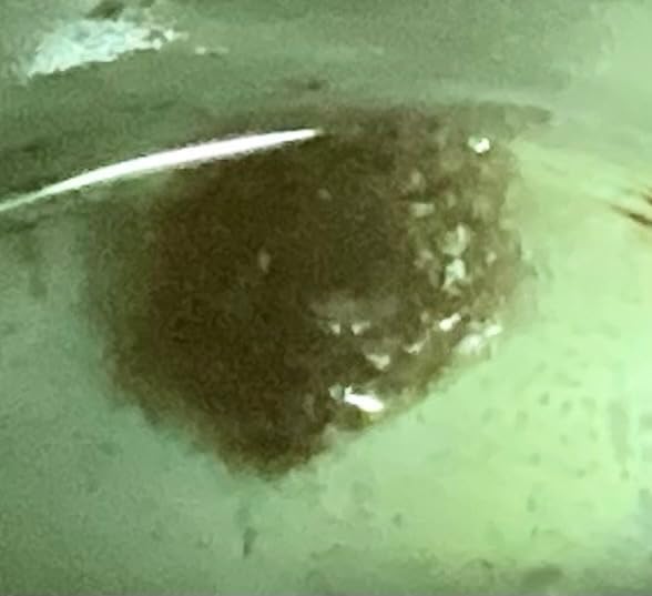 Hydrogen Water Tablets for Drinking Water 30 Count Creates 12 PPM Nanobubbles - US Company customer photo 2