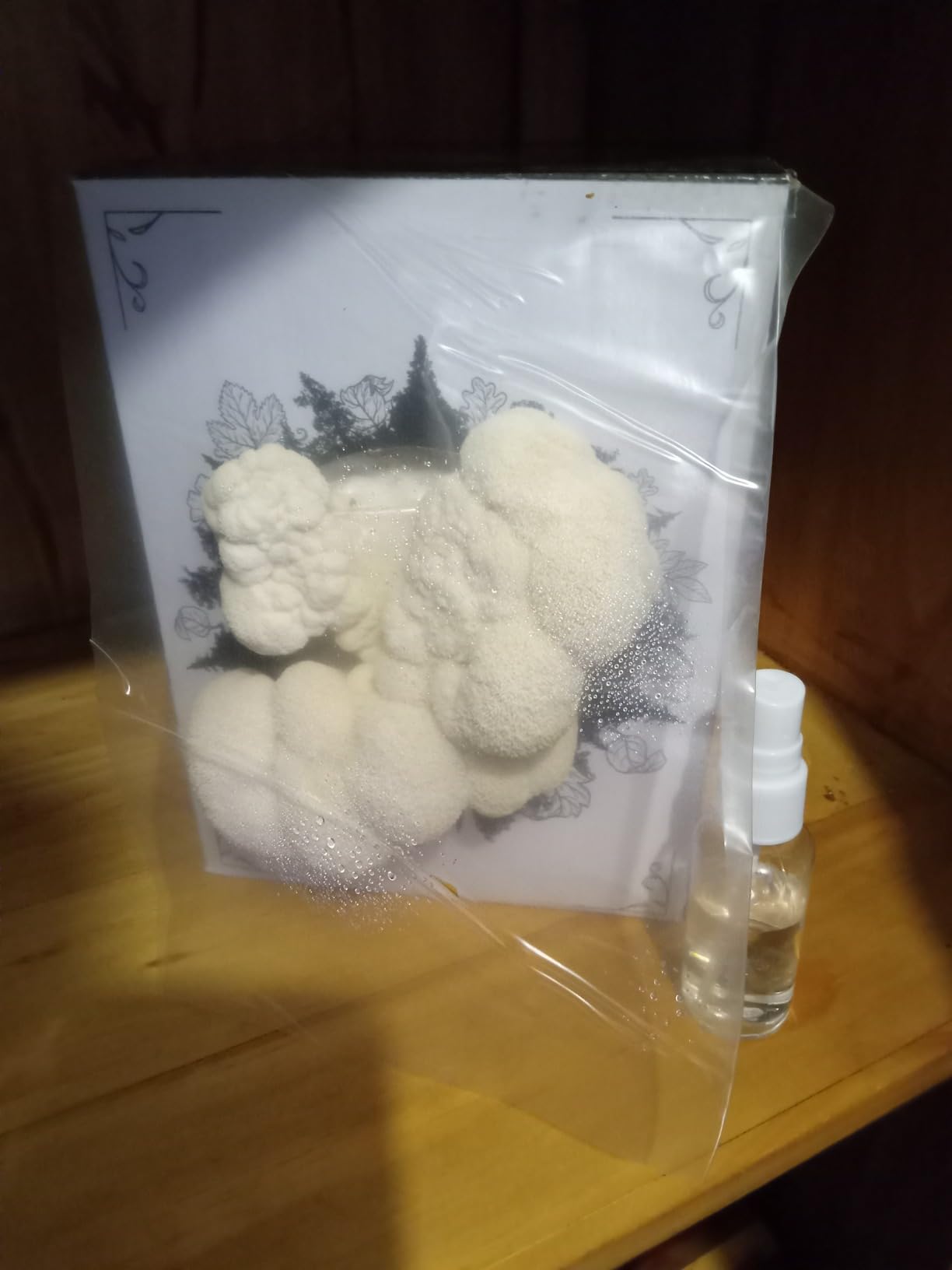 Organic Lion's Mane Mushroom Growing Kit - Indoor Gardening Kit for Fresh Gourmet Mushrooms - Easy to Grow at Home - Holiday Gift for Garden Lovers & Foodies - Grown in USA - 3.5 lb customer photo 2
