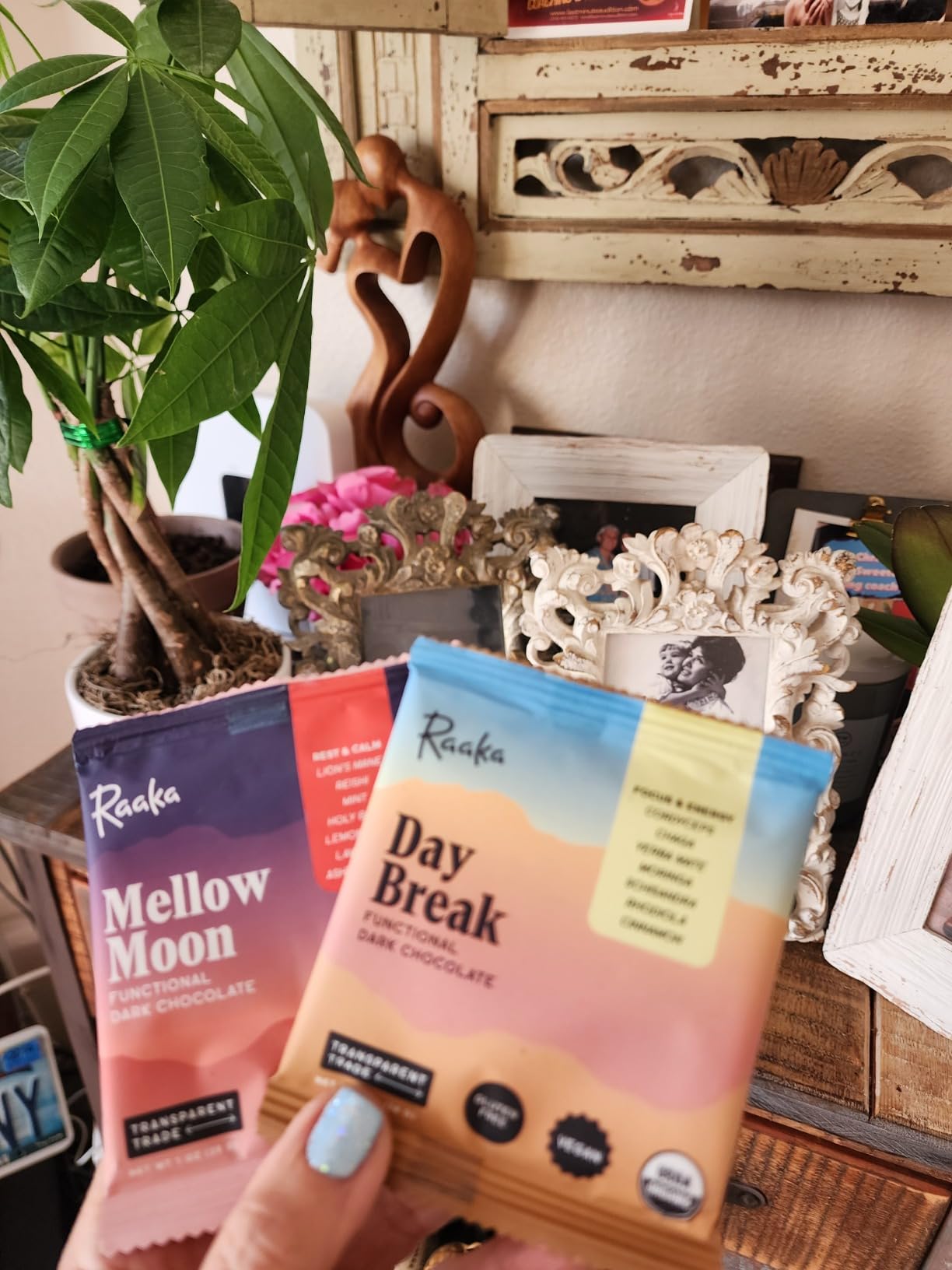 Raaka Functional Mushroom Chocolate Day Break & Mellow Moon | Day Break for Morning Focus & Energy | Mellow Moon for Evening Rest & Calm | 10 Adaptogen Chocolate Bars customer photo 1