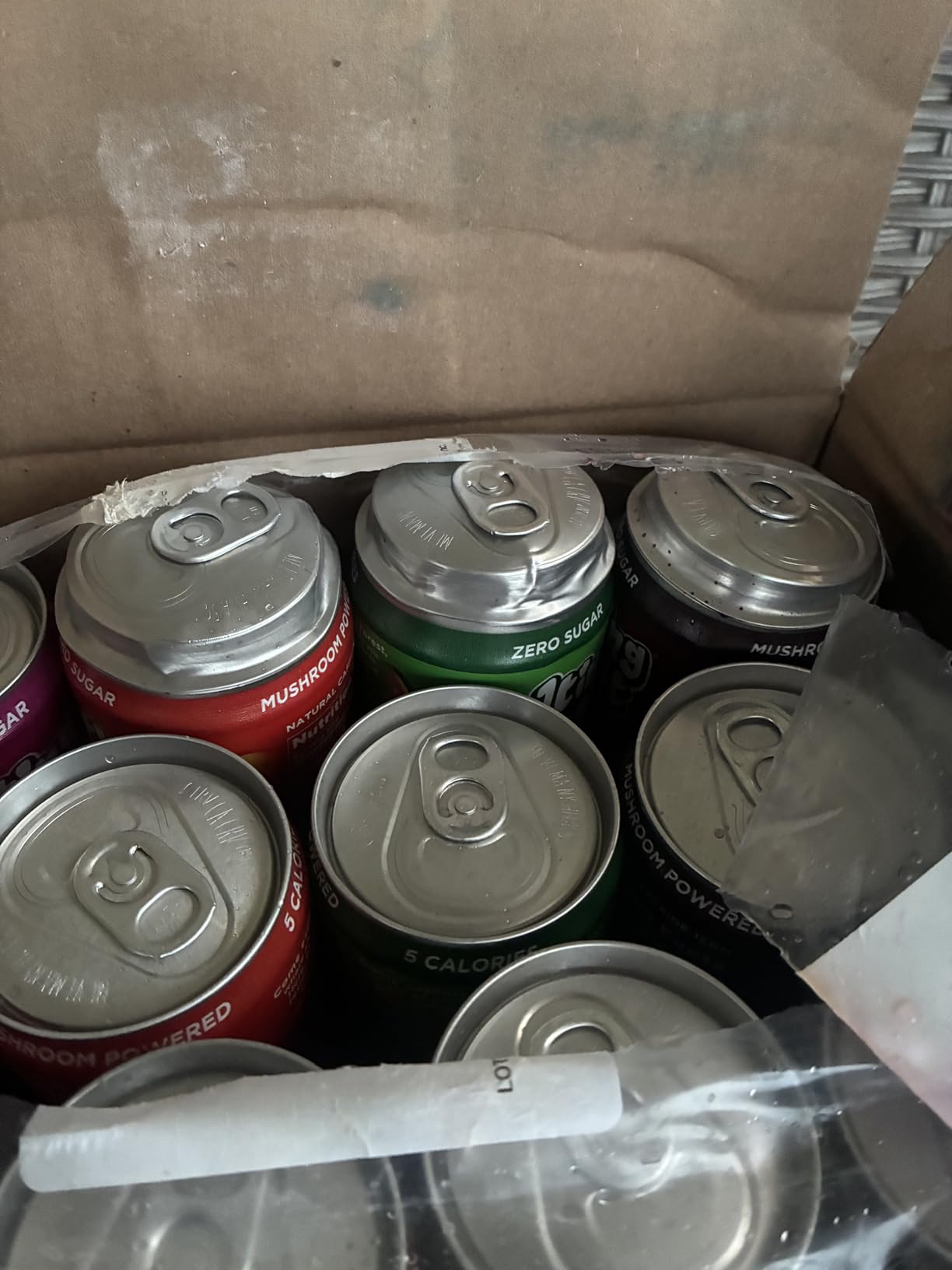 Melting Forest Functional Mushroom Energy Drink - 150mg Caffeine, L-Theanine, Cordyceps & Lion's Mane - Adaptogen Drink for Energy & Focus, Cognitive Function & Mental Clarity - Variety Pack (12 Pack) customer photo 1