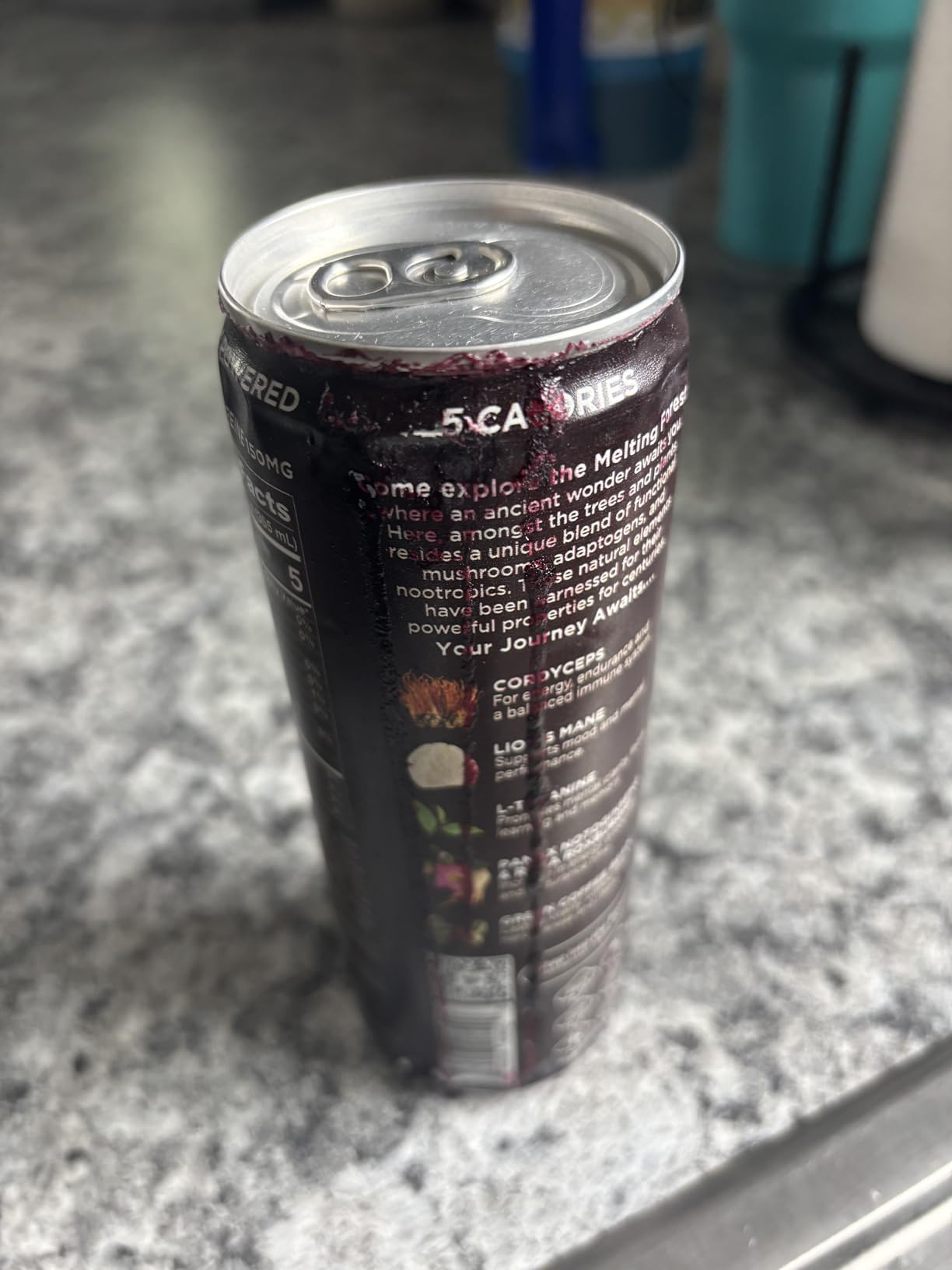Melting Forest Functional Mushroom Energy Drink - 150mg Caffeine, L-Theanine, Cordyceps & Lion's Mane - Adaptogen Drink for Energy & Focus, Cognitive Function & Mental Clarity - Variety Pack (12 Pack) customer photo 2