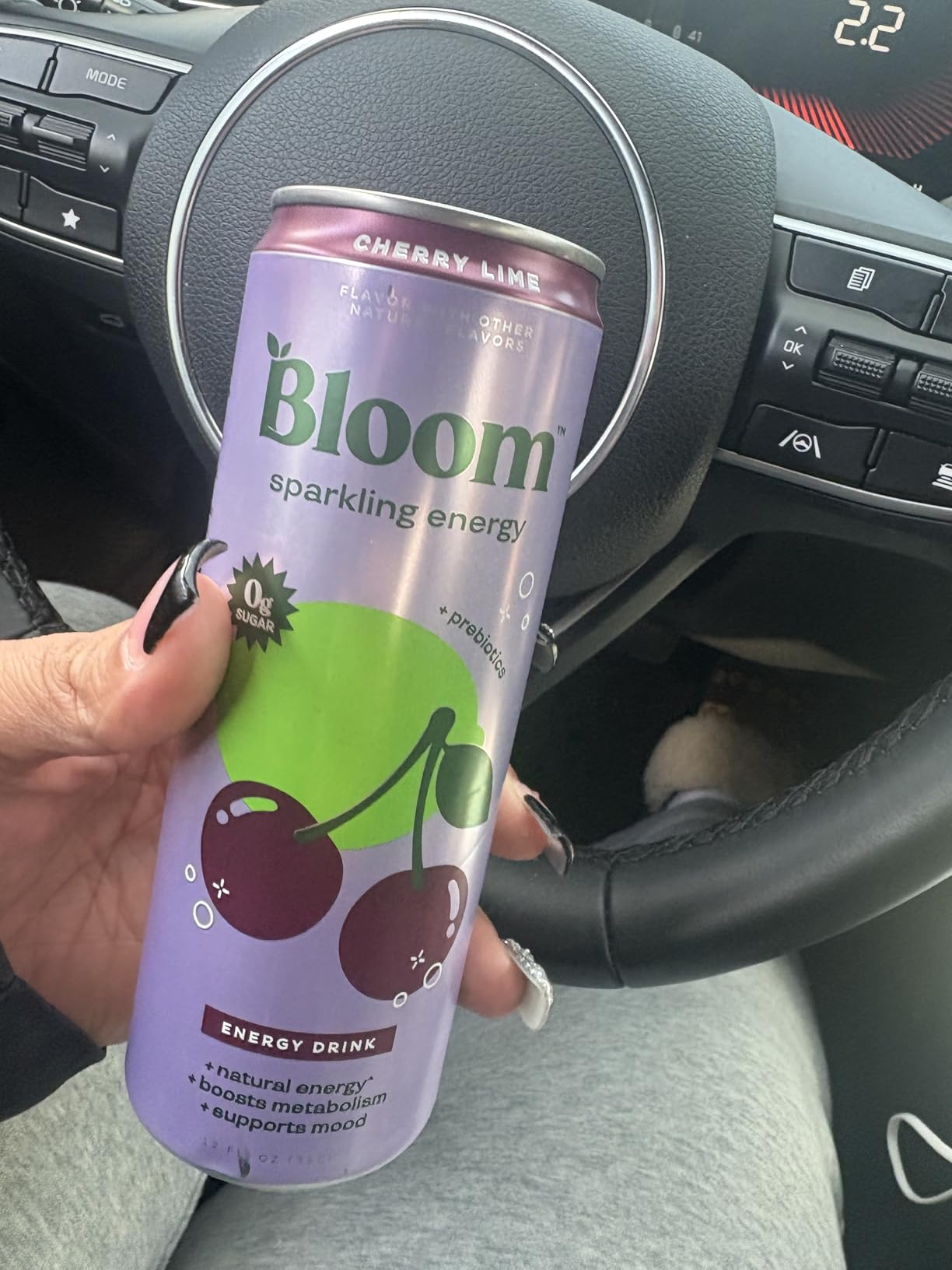 Bloom Nutrition Sparkling Energy Drink - Variety Pack - Natural Caffeine, Zero Sugar, 180mg Caffeine - Antioxidant-Rich with Green Coffee Bean, Green Tea Extract, Prebiotics - 12oz 12 Pack customer photo 1