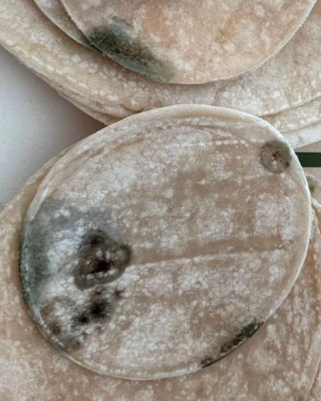 Coyotas - Organic Cassava Tortillas - Grain-Free, Gluten-Free, Non-GMO, Vegan, Paleo, Medium 6 Inch - 8 Tortillas Per Pack (3 Packs) customer photo 2