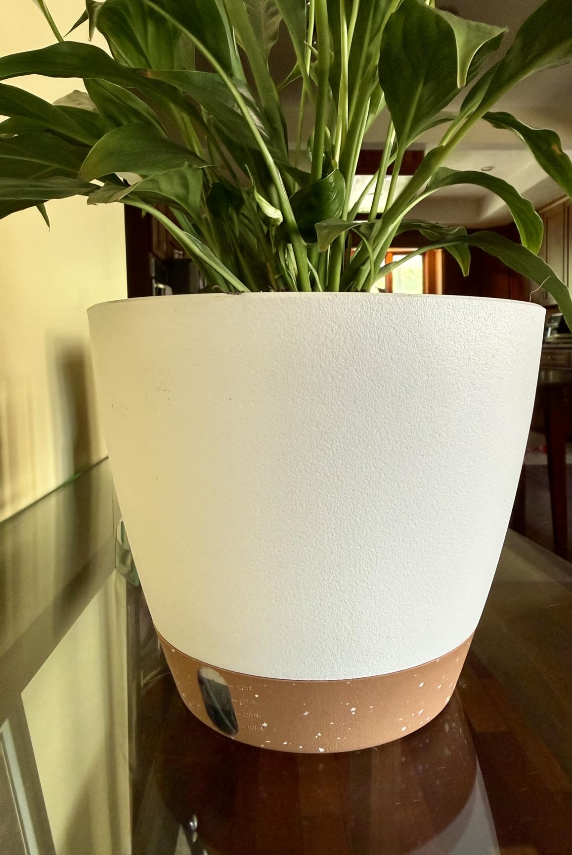 8/10/12 Inch Self Watering Pots for Indoor/Outdoor Plants - Large Plastic Planter with Drainage Holes, Water Level Indicator & Deep Reservoir, Modern Decorative Flower Pots (White) customer photo 2