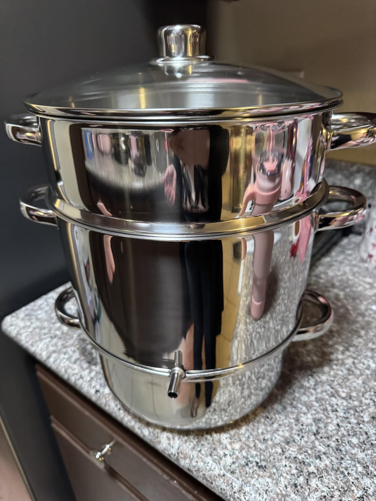 Juice Steamer Extractor, 11 Qt 304 Stainless Steel, Canning Steamer Kit for Fruit/Vegetable Juice, Jelly customer photo 2