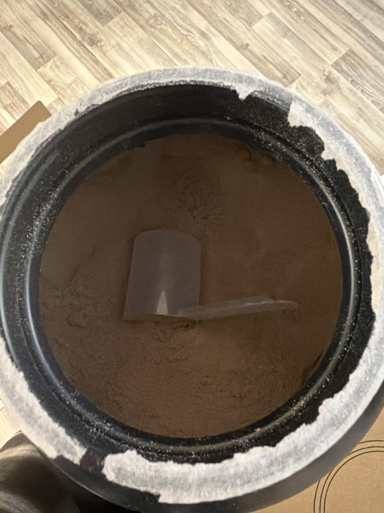 Optimum Nutrition Gold Standard 100% Whey Protein Powder, Double Rich Chocolate, 1 Pound (Pack of 1) customer photo 2