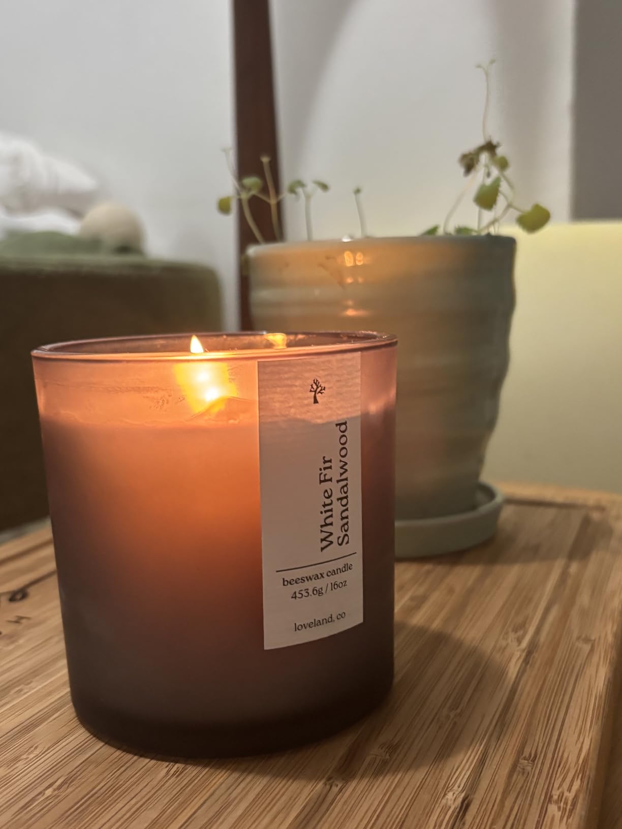 Aspen & Oak Luxury Beeswax Candle 16oz - Long Burning Pure Beeswax Candles, Non Toxic, Natural, Clean, Essential Oil Scented Organic Candles - White Fir Sandalwood customer photo 1