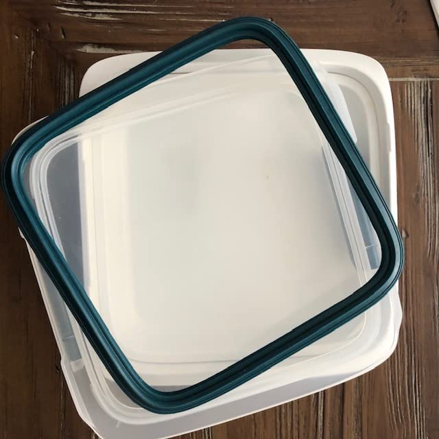 OXO Good Grips Prep and Go Salad Container - Ocean Blue customer photo 1