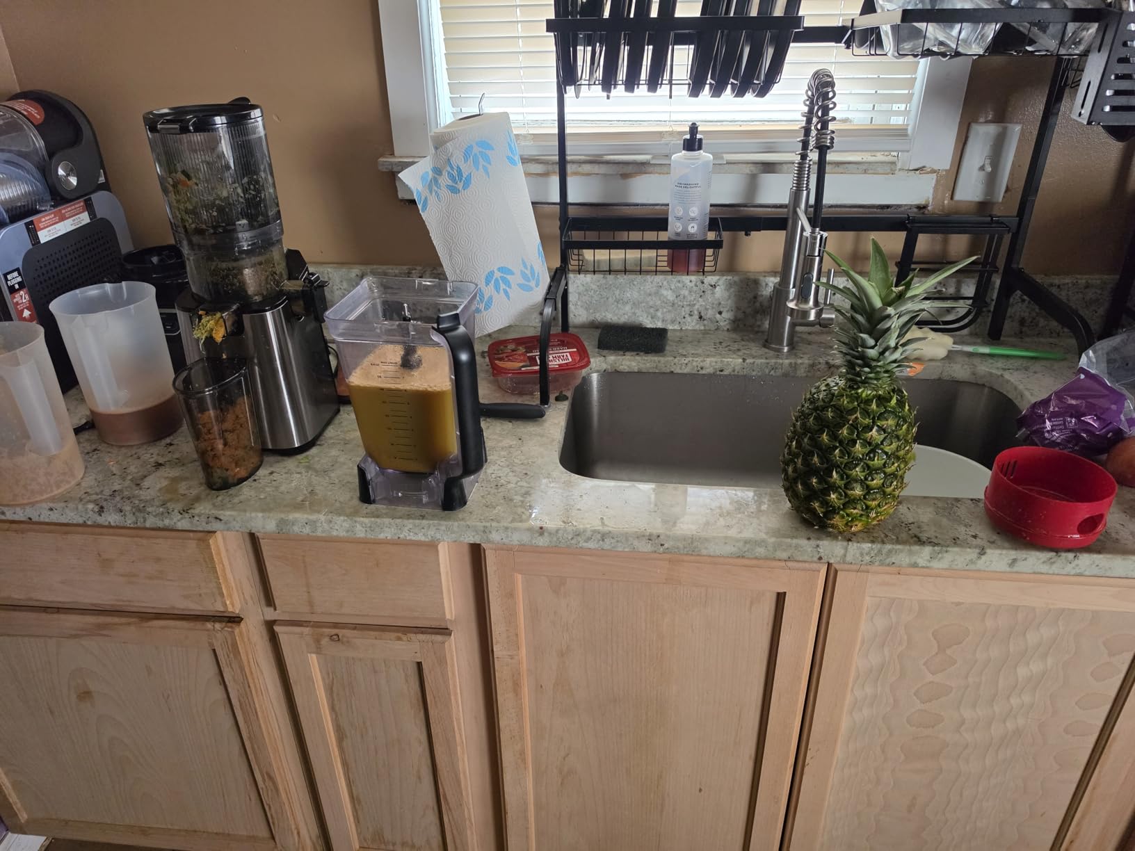 Juicer Machines, EUHOMY 5.8