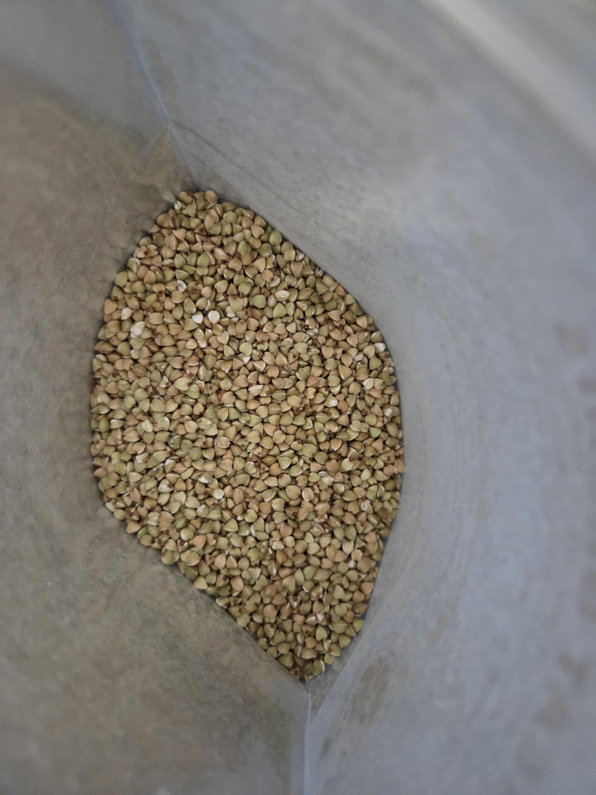 Quay Naturals Organic Buckwheat Groats 1.5 lb | Gluten-Free Ancient Grain Alternative | Non-GMO, Whole Buckwheat Groats, Vegan | Ideal for Hot Cereal, Porridge, Salads & Baking customer photo 2