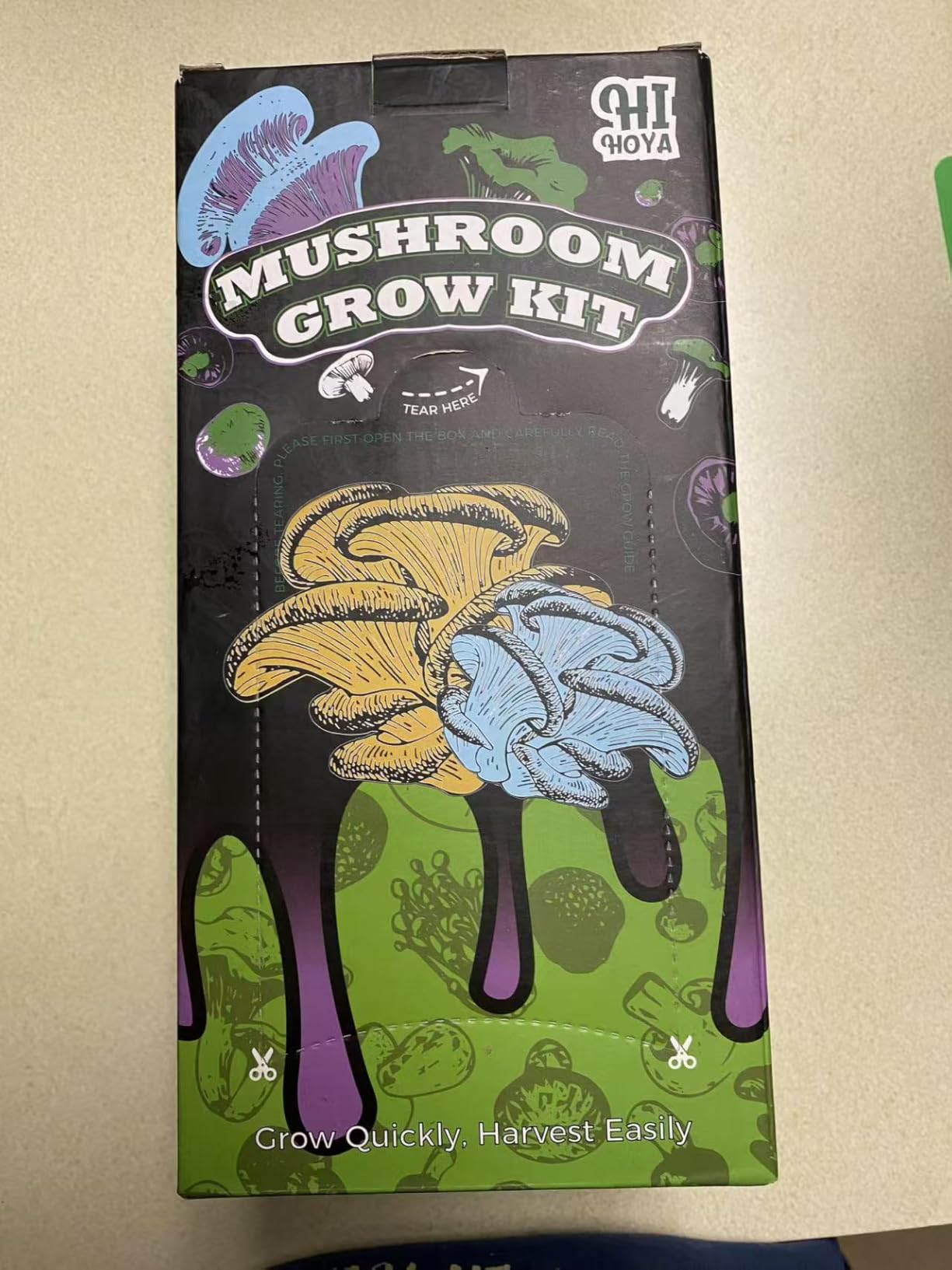 Organic Mushroom Growing Kit, Lion's Mane Mushroom Grow Kit with All Accessories, Grow Fresh Edible Mushrooms Indoor, USDA Certified Organic, Non-GMO, Easy to Grow at Home customer photo 1