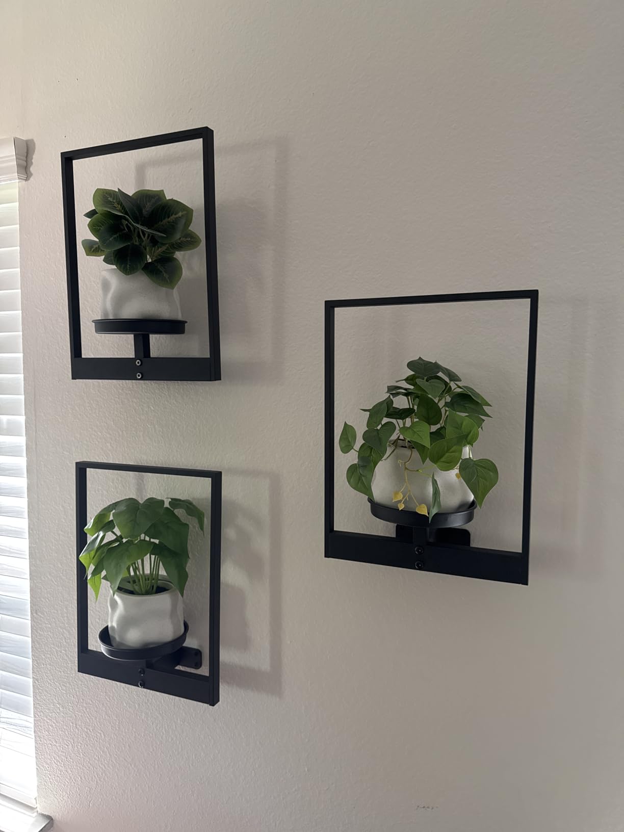 Bamworld Hanging Planters for Indoor Plants Wall Decor Living Room Plant Stand Indoor Wall Planters Plant Hanger Window Plant Shelves 3-Packs with Lights customer photo 1