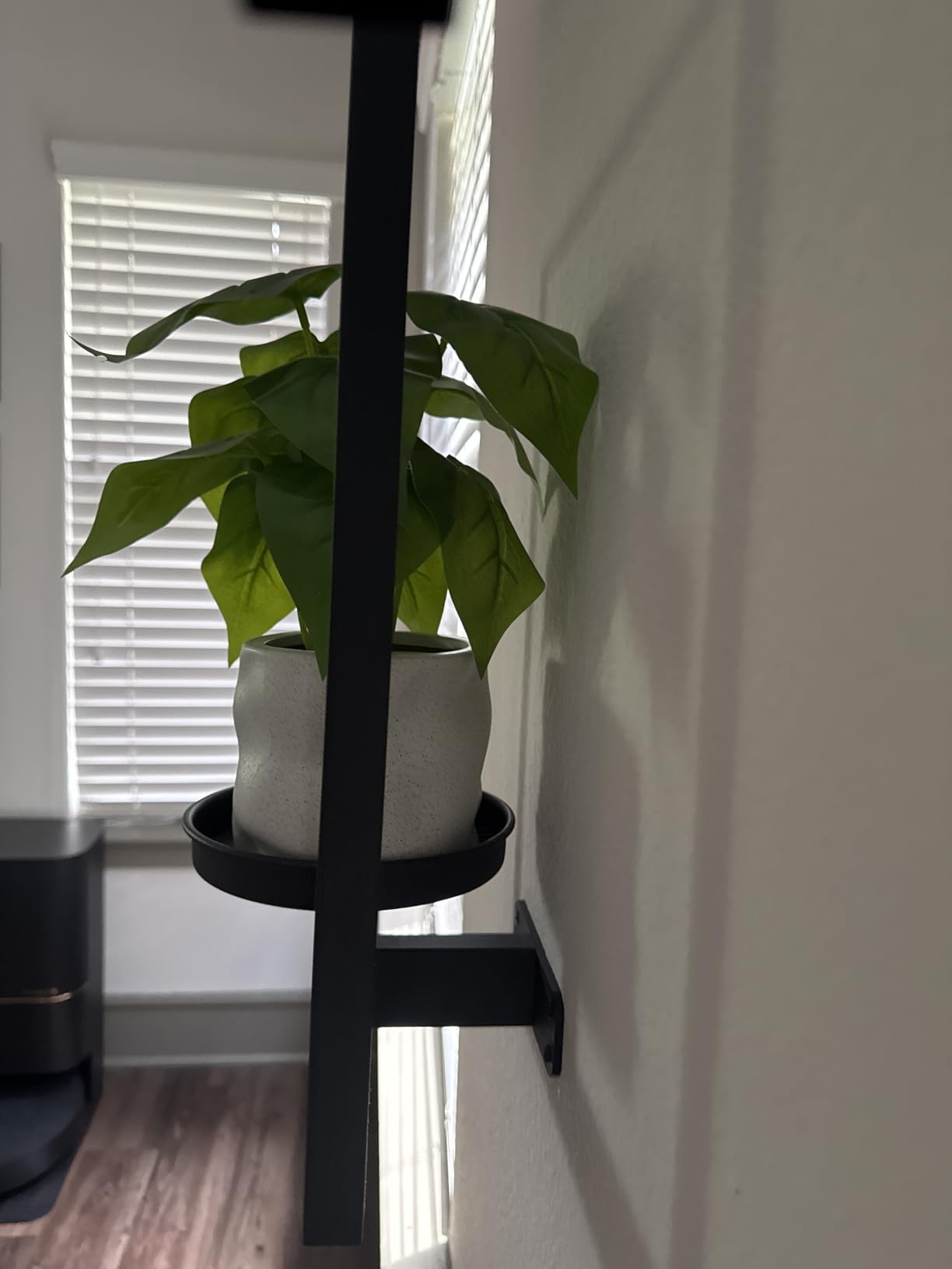 Bamworld Hanging Planters for Indoor Plants Wall Decor Living Room Plant Stand Indoor Wall Planters Plant Hanger Window Plant Shelves 3-Packs with Lights customer photo 2