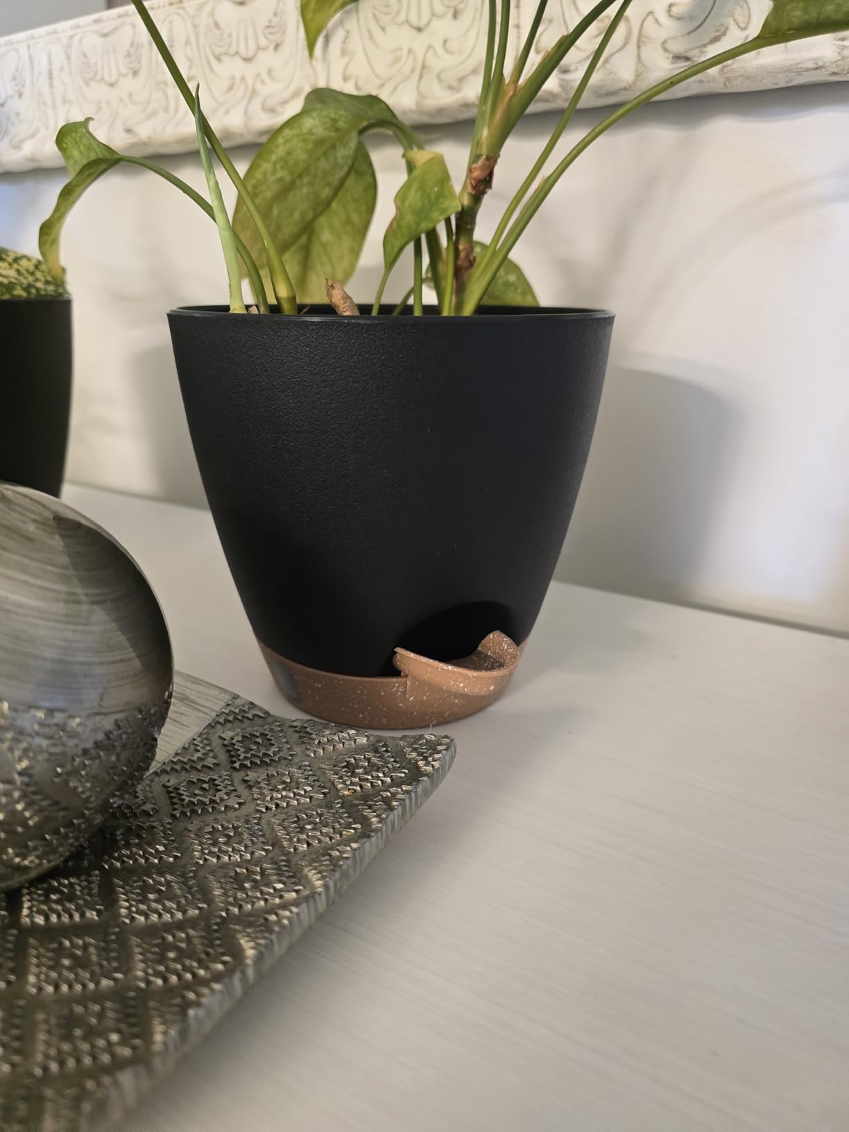T4U 4 Pack 6 Inch Self Watering Pots - Water Level Indicator & Deep Reservoir, Mess-Free Planter for Busy People, Beginners & Gardeners, Fit Herbs/Pothos/Succulents Plants, Indoor Outdoor Use (White) customer photo 2