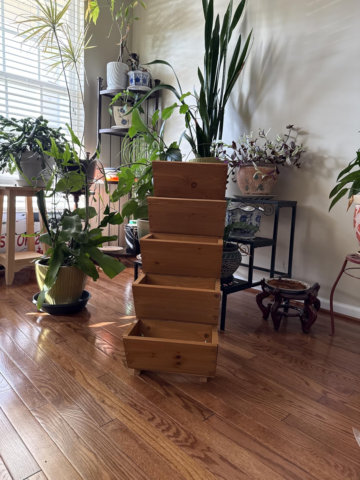 Giantex 5-Tier Wooden Vertical Raised Garden Bed, Freestanding Plant Stand with Legs for Herbs Vegetables Fruits, Indoor Outdoor Tiered Wood Planter Box Flower Rack for Patio, Balcony & Yard customer photo 1