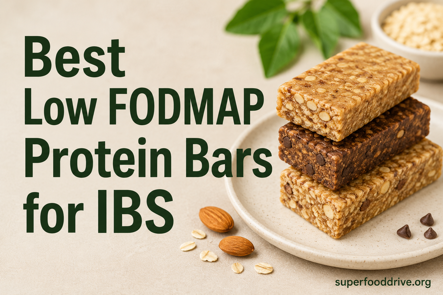 Best Low FODMAP Protein Bars for IBS