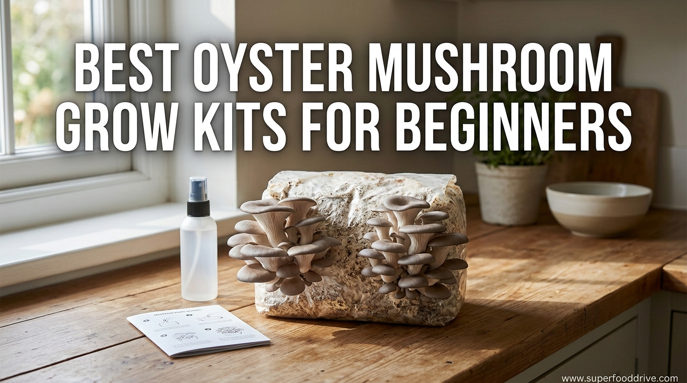 Best Oyster Mushroom Grow Kits for Beginners