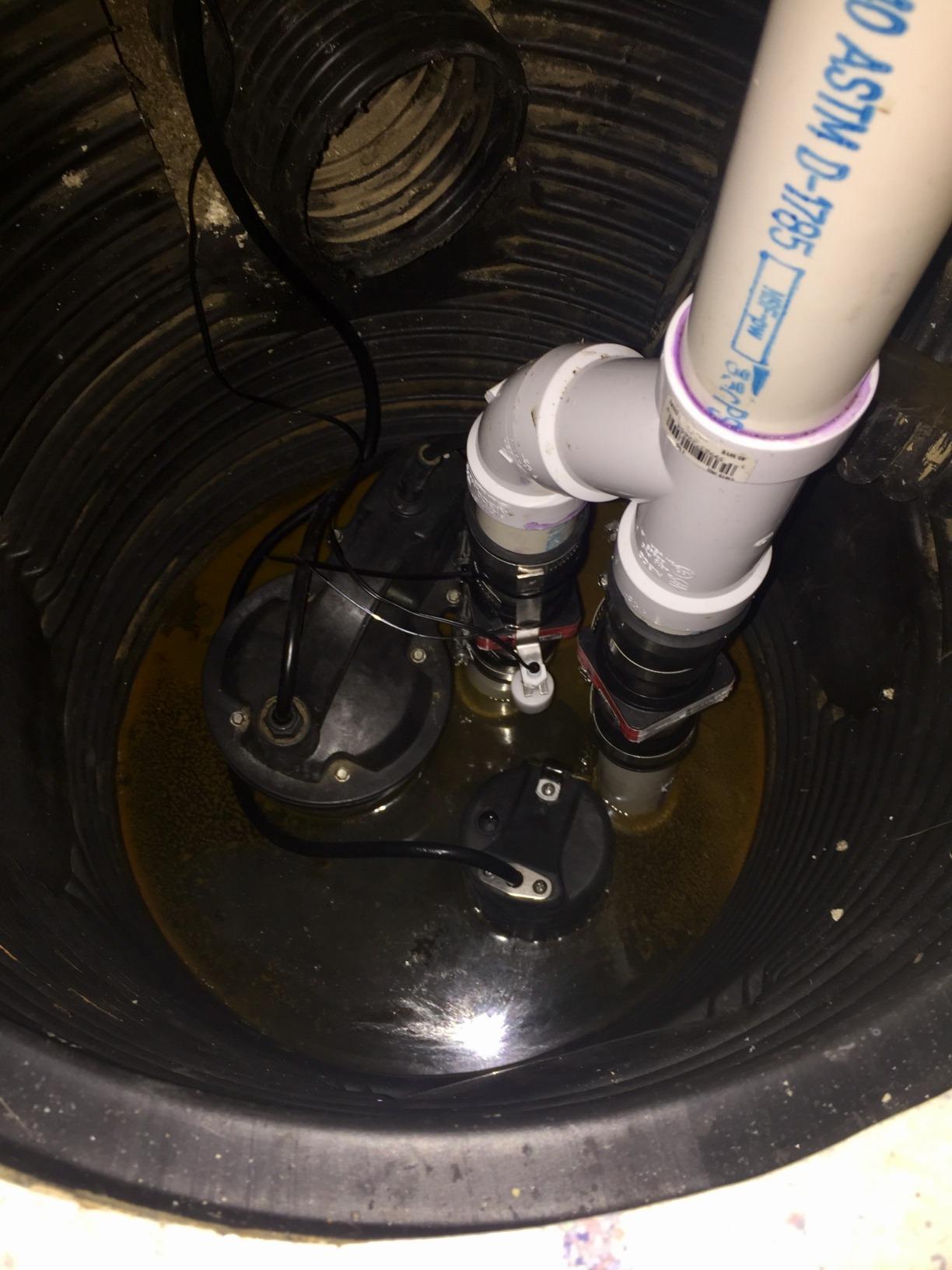 Wayne ESP25 12 Volt Battery Back-Up Sump Pump System with Audible Alarm customer photo 1