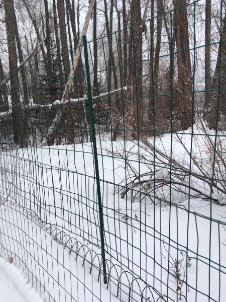 YARDGARD 2 in. x 3 in. Mesh Welded Wire Fence - 24 in. x 25 ft. 16-Gauge Green Vinyl Coated Galvanized Steel for Animal Enclosures, Garden Protection, Property Boundaries customer photo 1