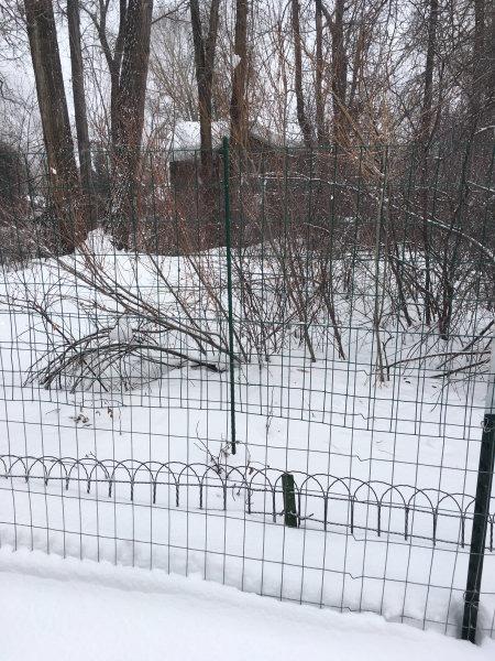 YARDGARD 2 in. x 3 in. Mesh Welded Wire Fence - 24 in. x 25 ft. 16-Gauge Green Vinyl Coated Galvanized Steel for Animal Enclosures, Garden Protection, Property Boundaries customer photo 2