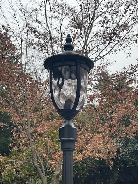 Bellagio 21 1/4
