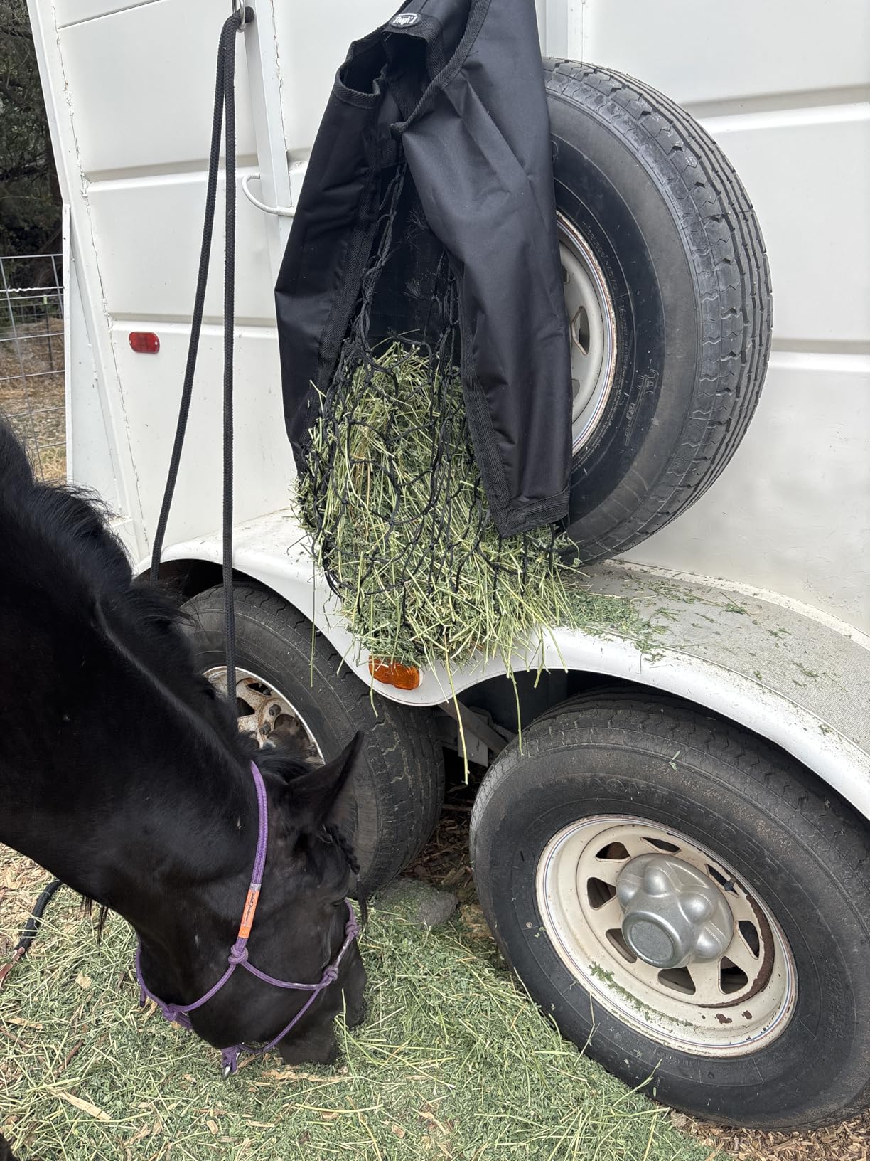 Tough 1 Nylon Hay Tote with Net Front customer photo 1