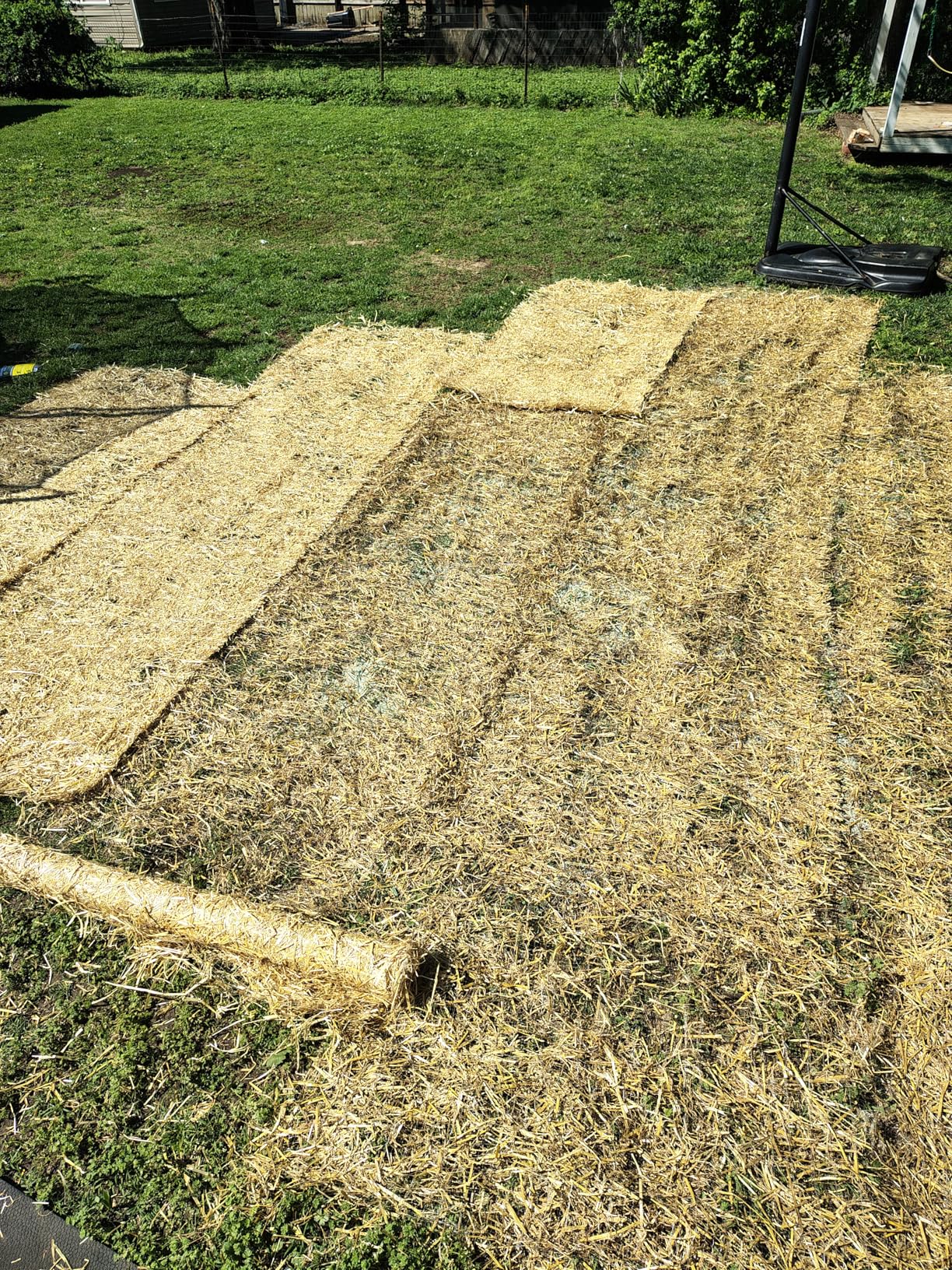 EZ Straw Grass Seed Germination and Erosion Control Blanket, 4 ft x 50 ft, Covers 200 sq ft customer photo 2
