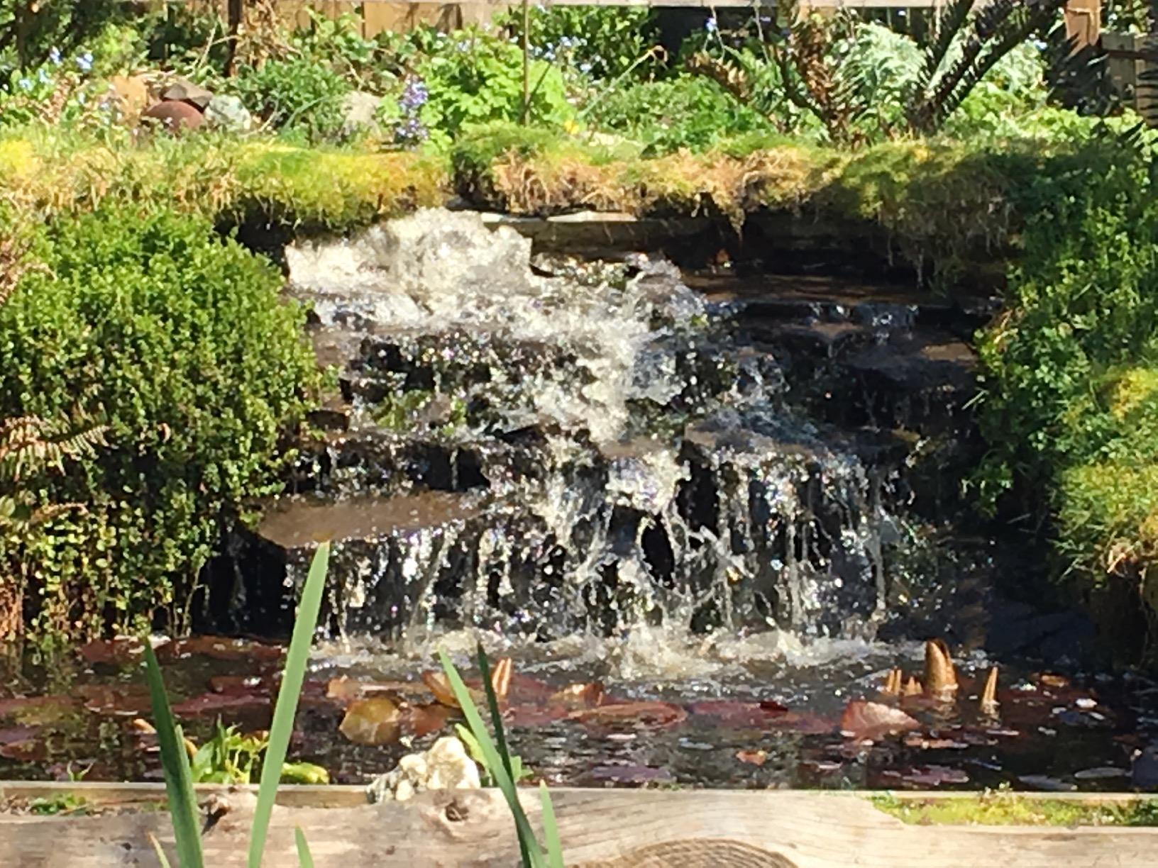 Pond Pulse Submersible Pond Pump, 5,500 GPH, 30 ft Cord | 31 ft max head, 540 Watts, Hybrid drive motor customer photo 2