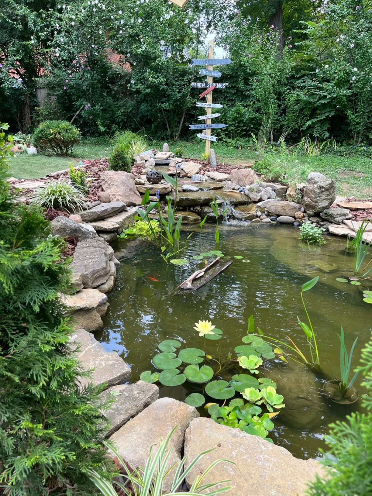 15x20 Savio Select 4000 GPH EPDM Liner Water Garden Pond Kit | Heavy duty EPDM rubber liner, 4000 GPH submersible waterfall pump, Complete DIY backyard setup, Ideal for custom koi ponds customer photo 1